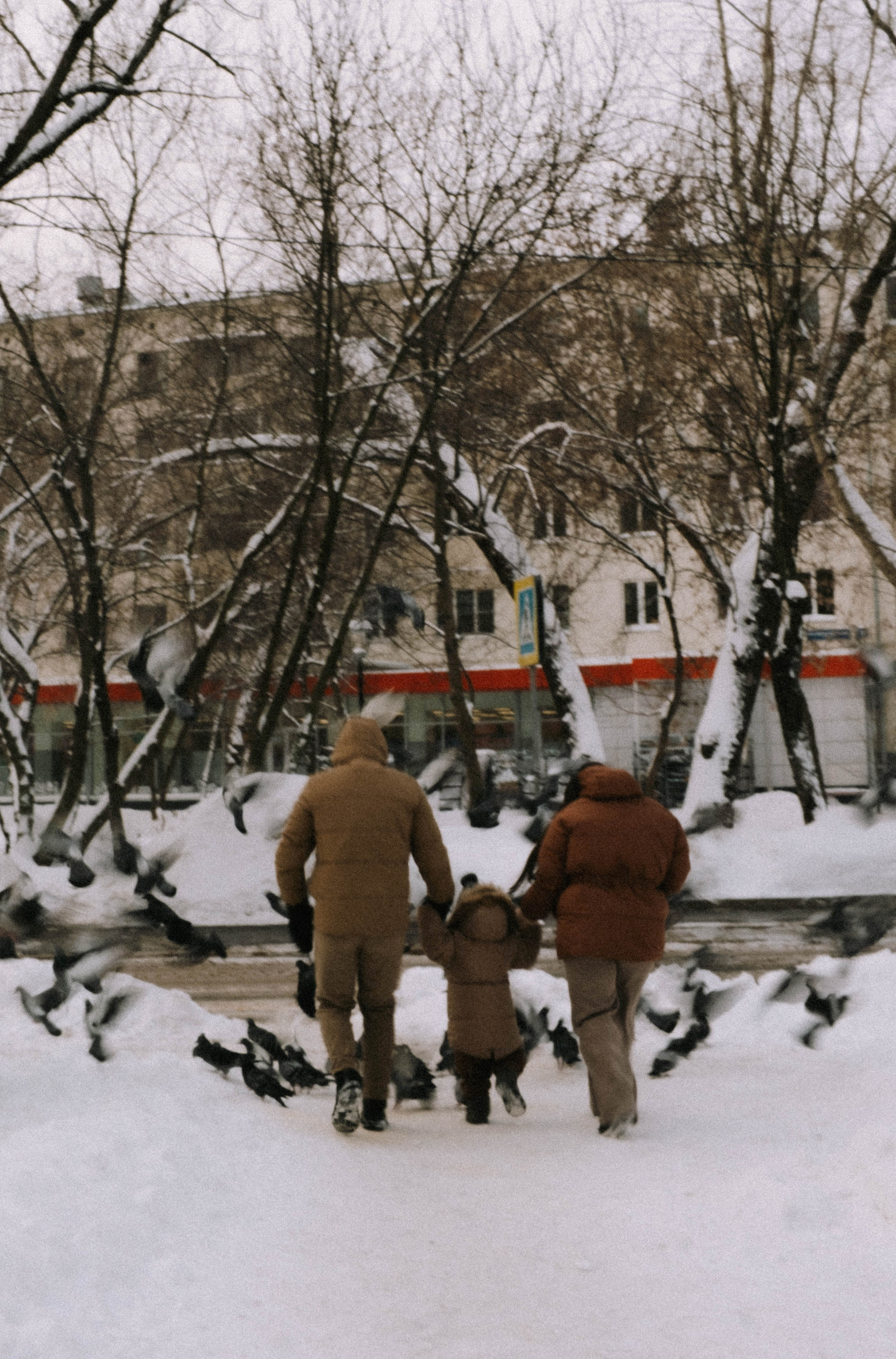 Алиса, Артём и Мотя. Свадебный фотограф Оля Григунова