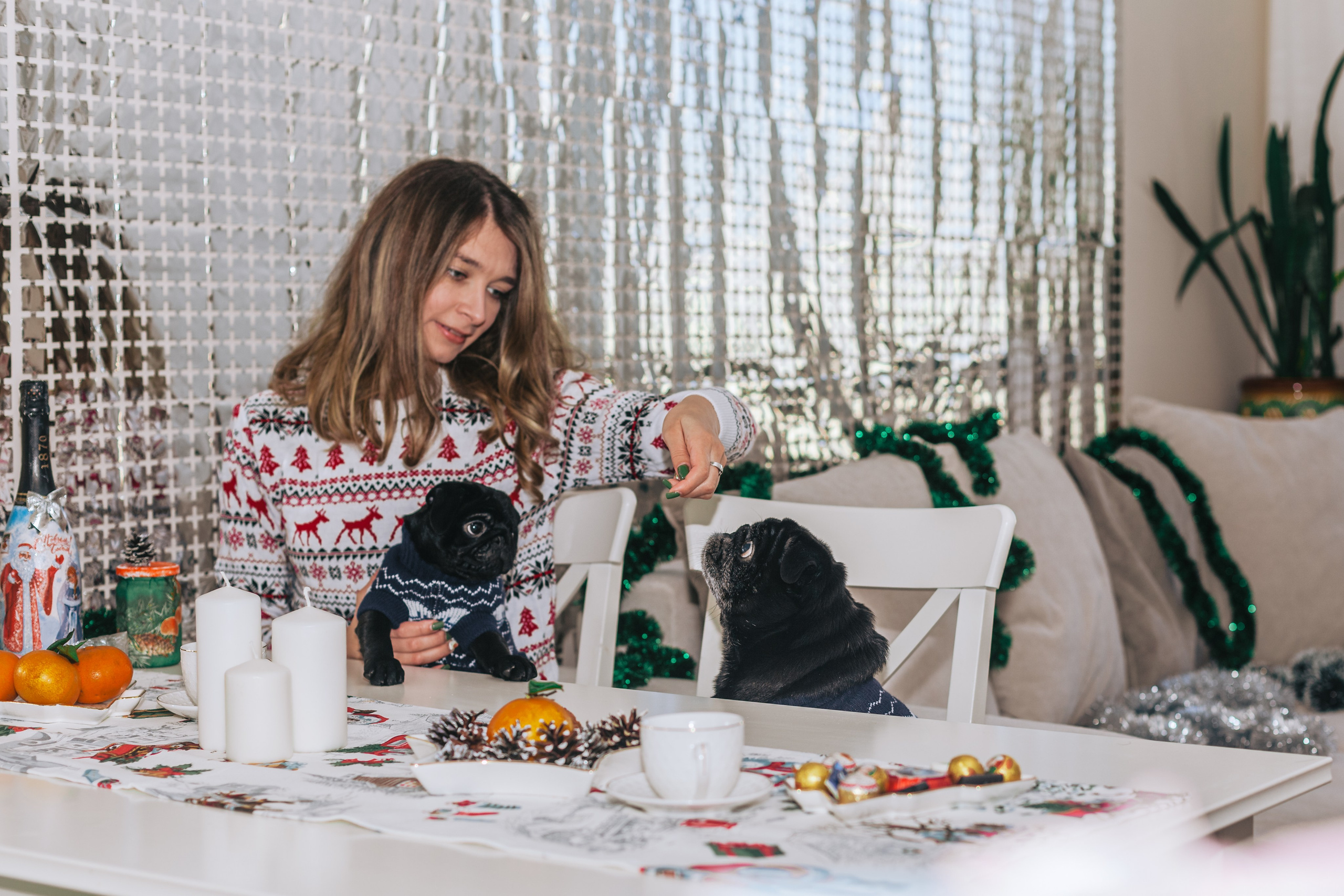 Домашняя фотосессия Оли и двух ее мопсов. Фотограф-анималист Татьяна Степанова