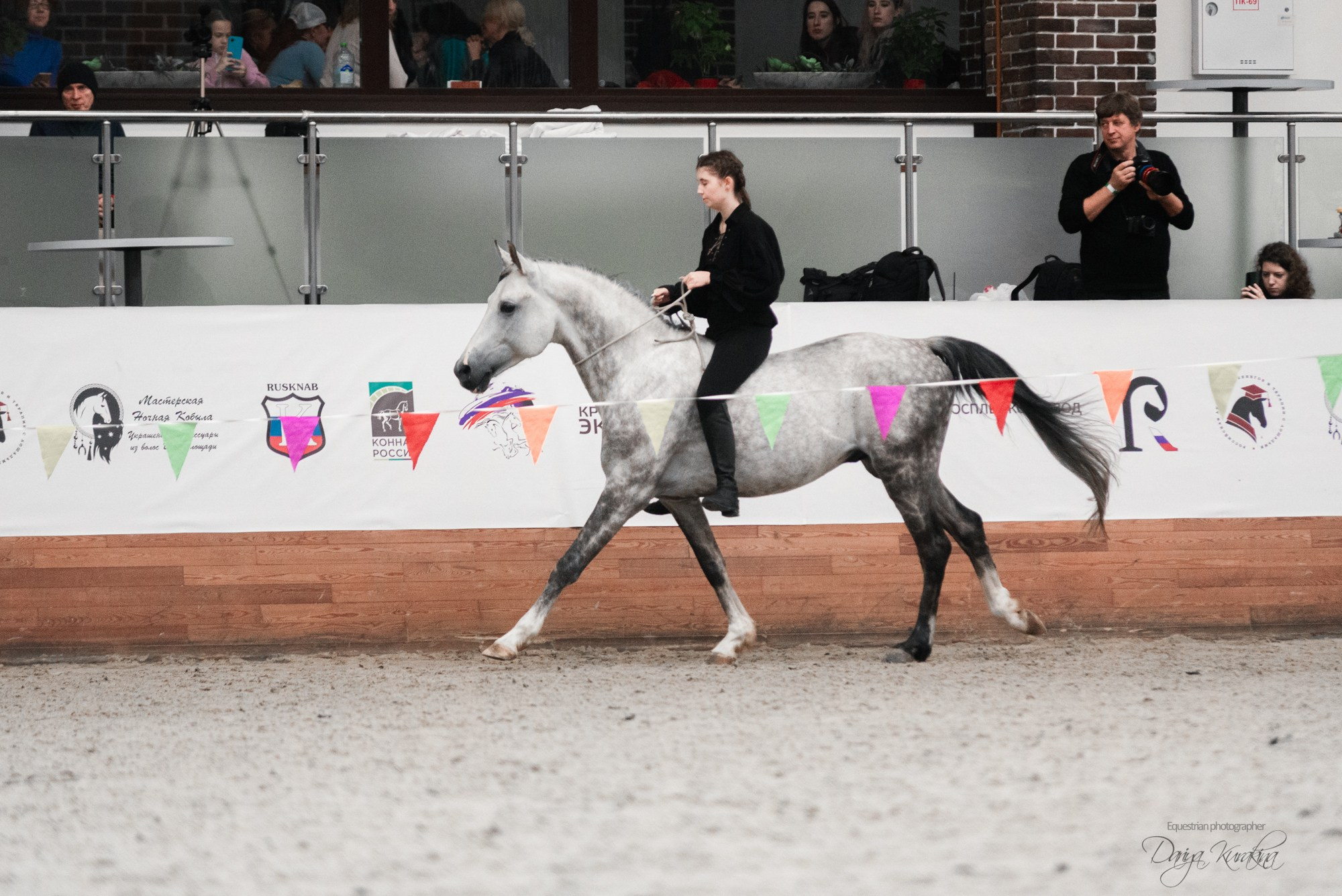 8-я международная выставка Конная Россия. Конный фотограф Куракина Дарья • Фотосессии с лошадьми