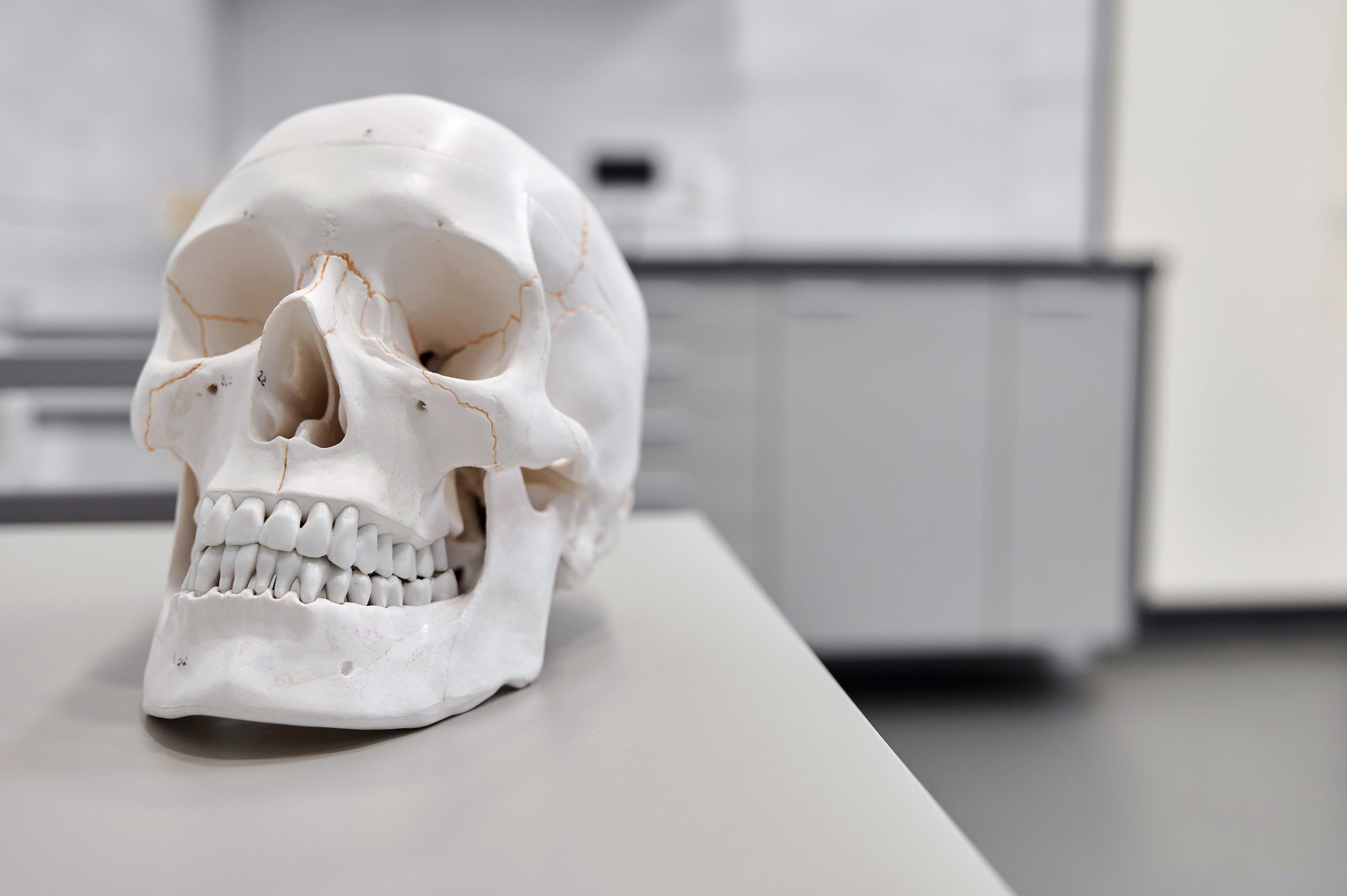 Стоматология. Фотограф Опыт Качество Скорость Горный Алтай Барнаул