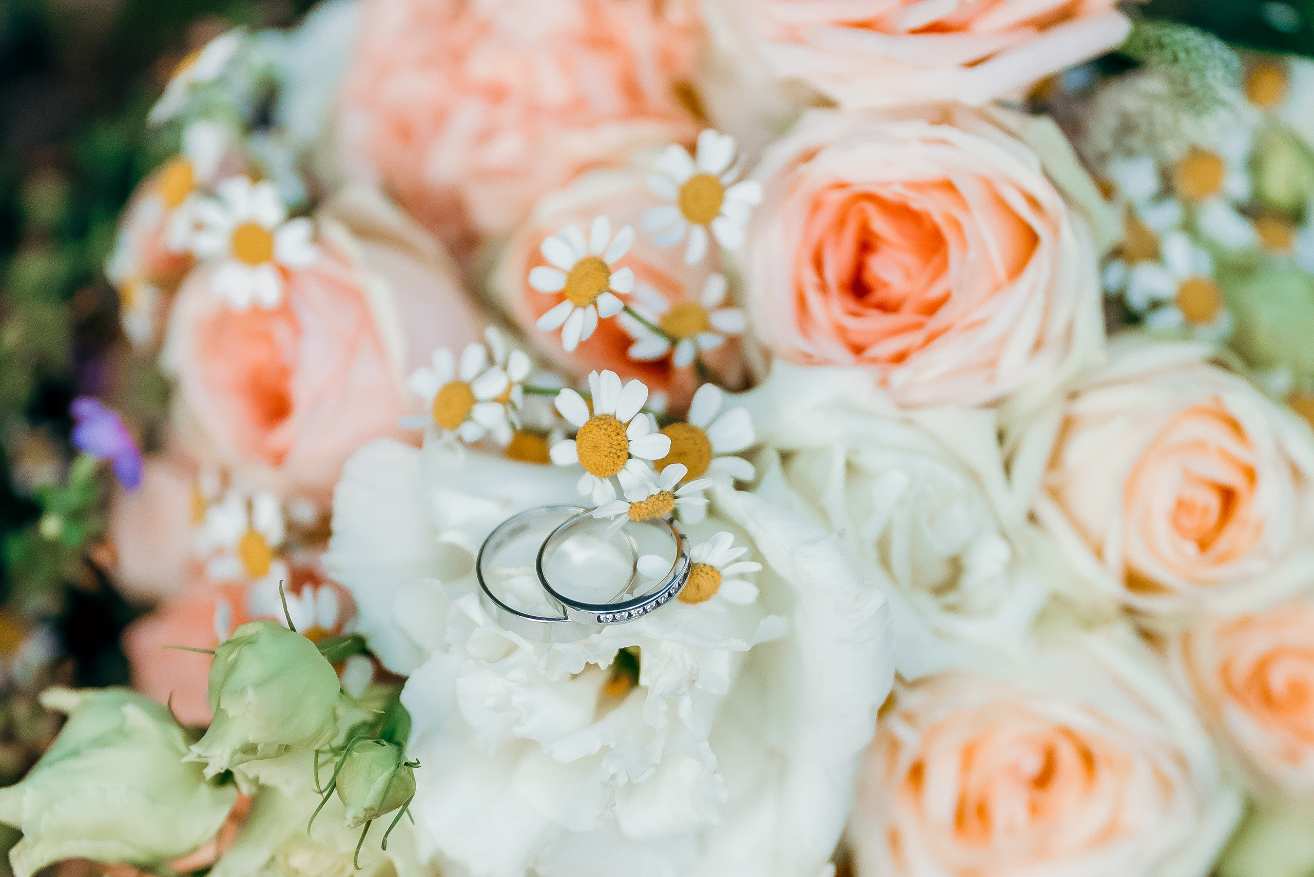 Портфолио свадебных фотографий