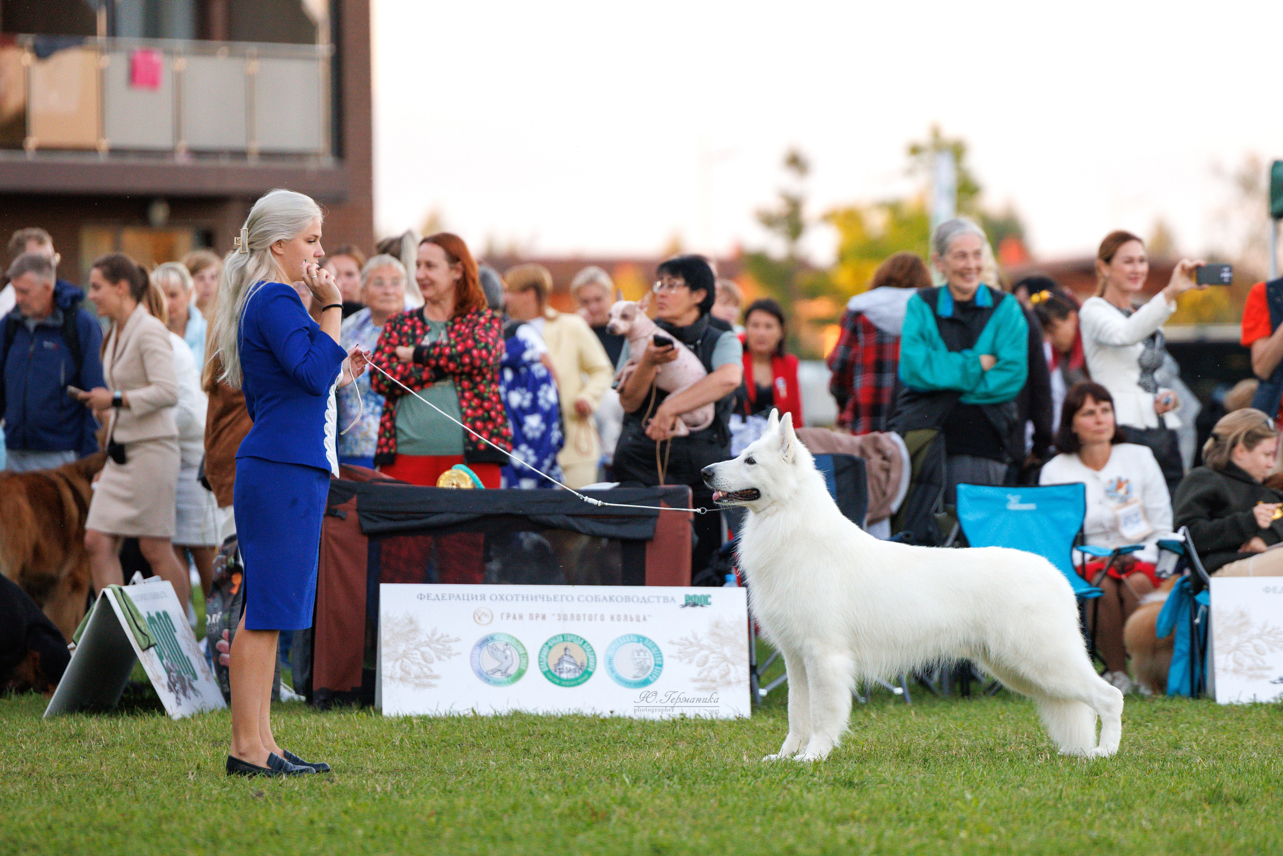 Переславль 5-7.08.2025. Фотограф-анималист Юлия Германика