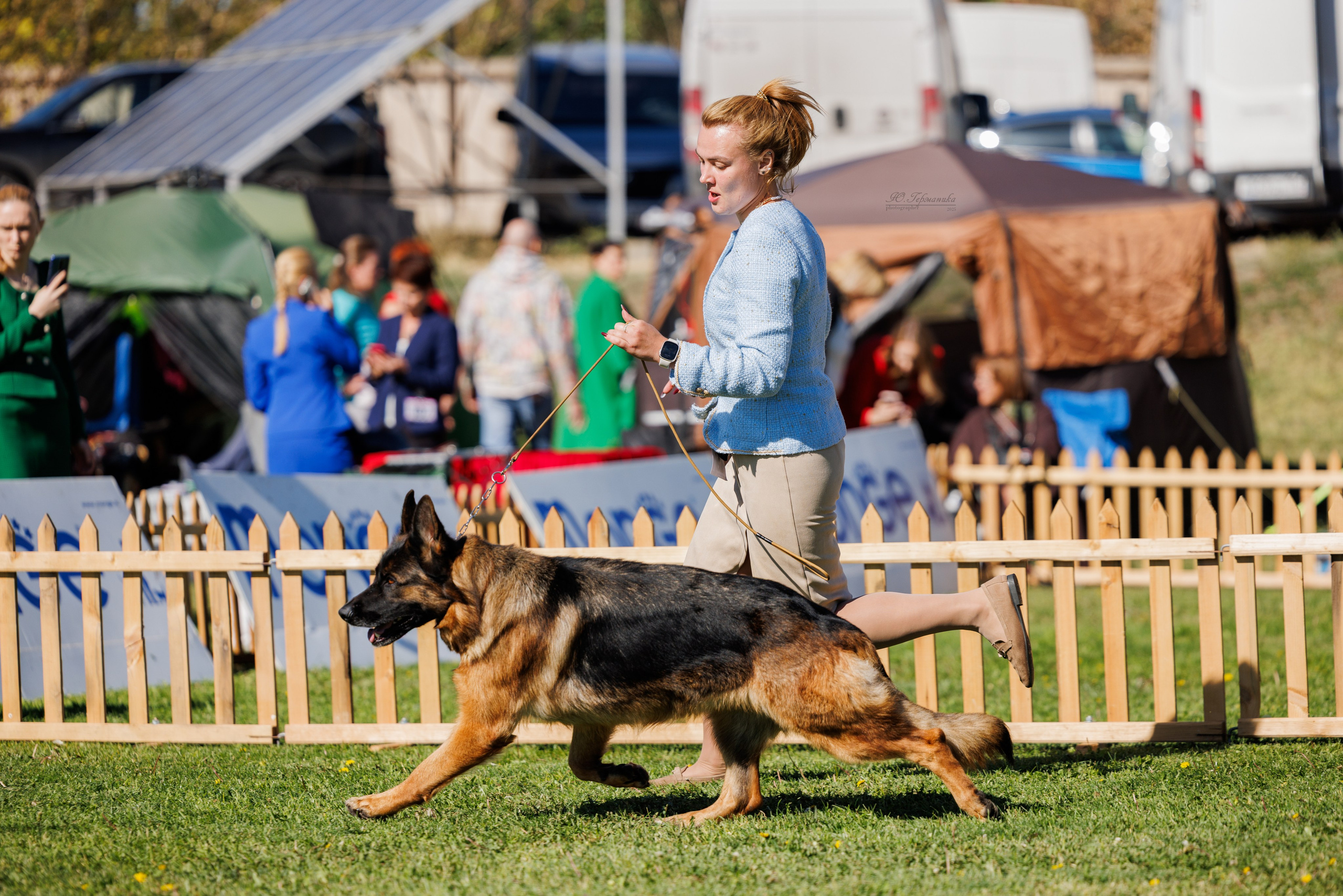 Ереван 14-16.10.2025. Фотограф-анималист Юлия Германика