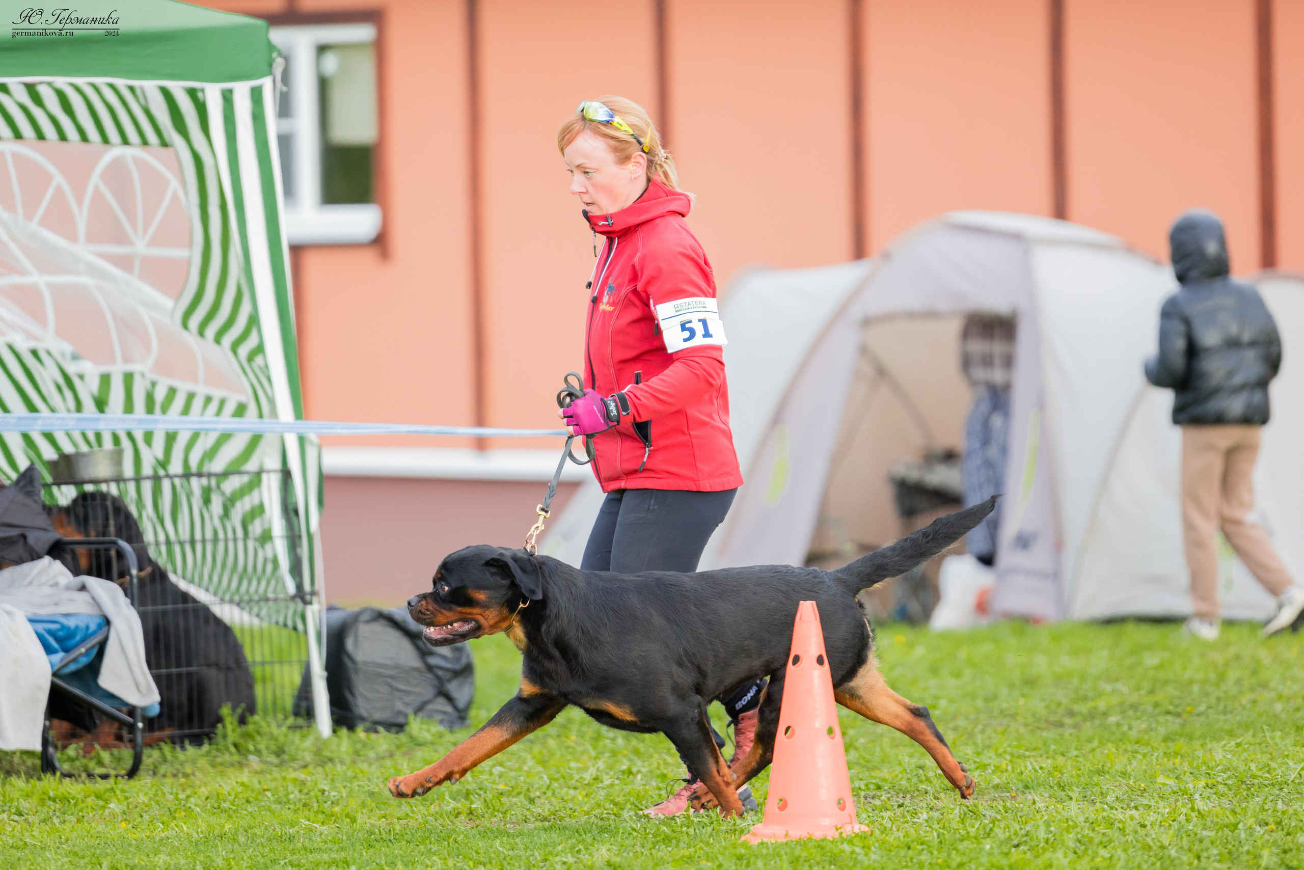 Нижний Новгород 11-12.05.2024 моно ротвейлеров. Фотограф-анималист Юлия Германика