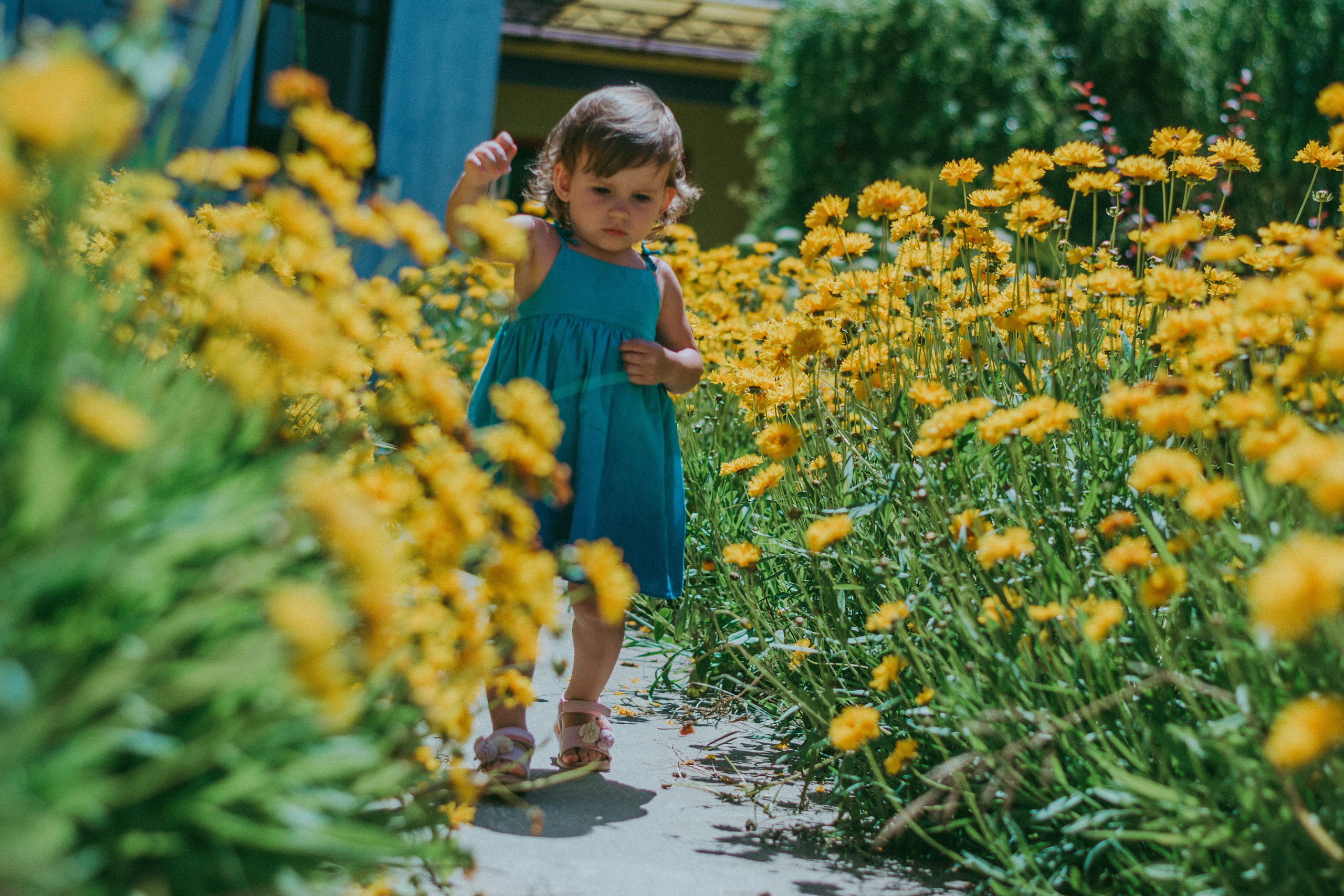 Замок у моря. Фотограф в Сочи — Маргарита Поганова