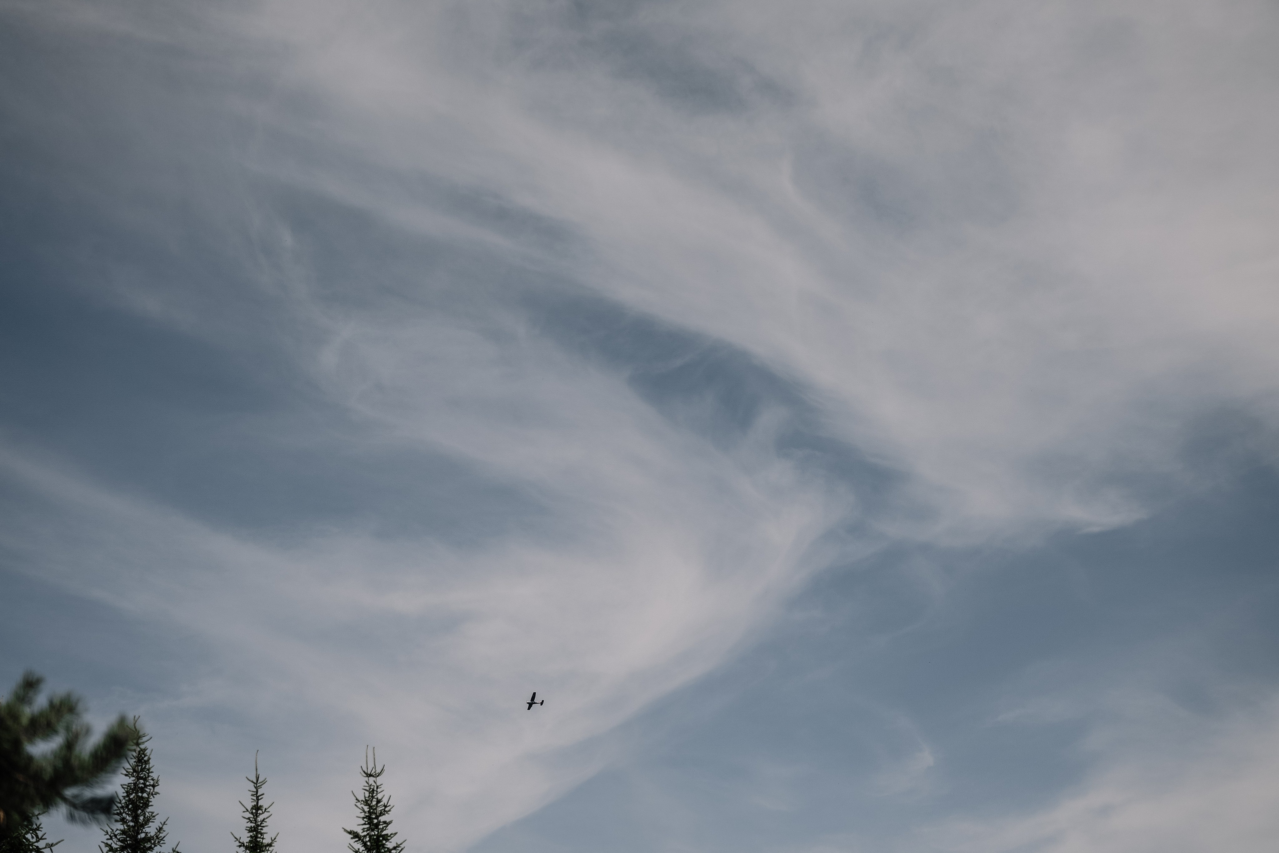 Горько…. Свадебный и семейный Фотограф Денис Кошель