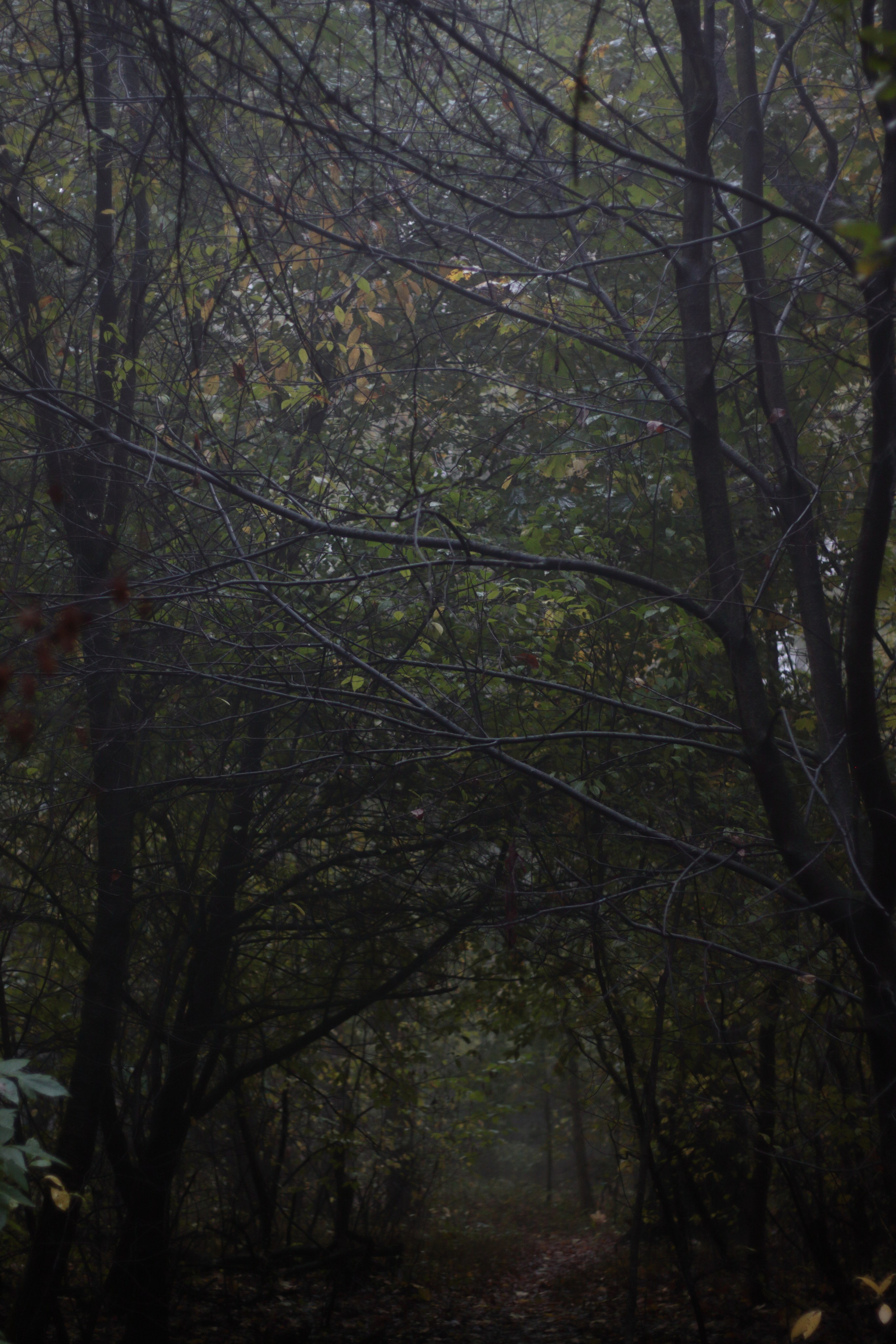 Старое природное, отбирала Katamount (Катерина Горохова). Главная