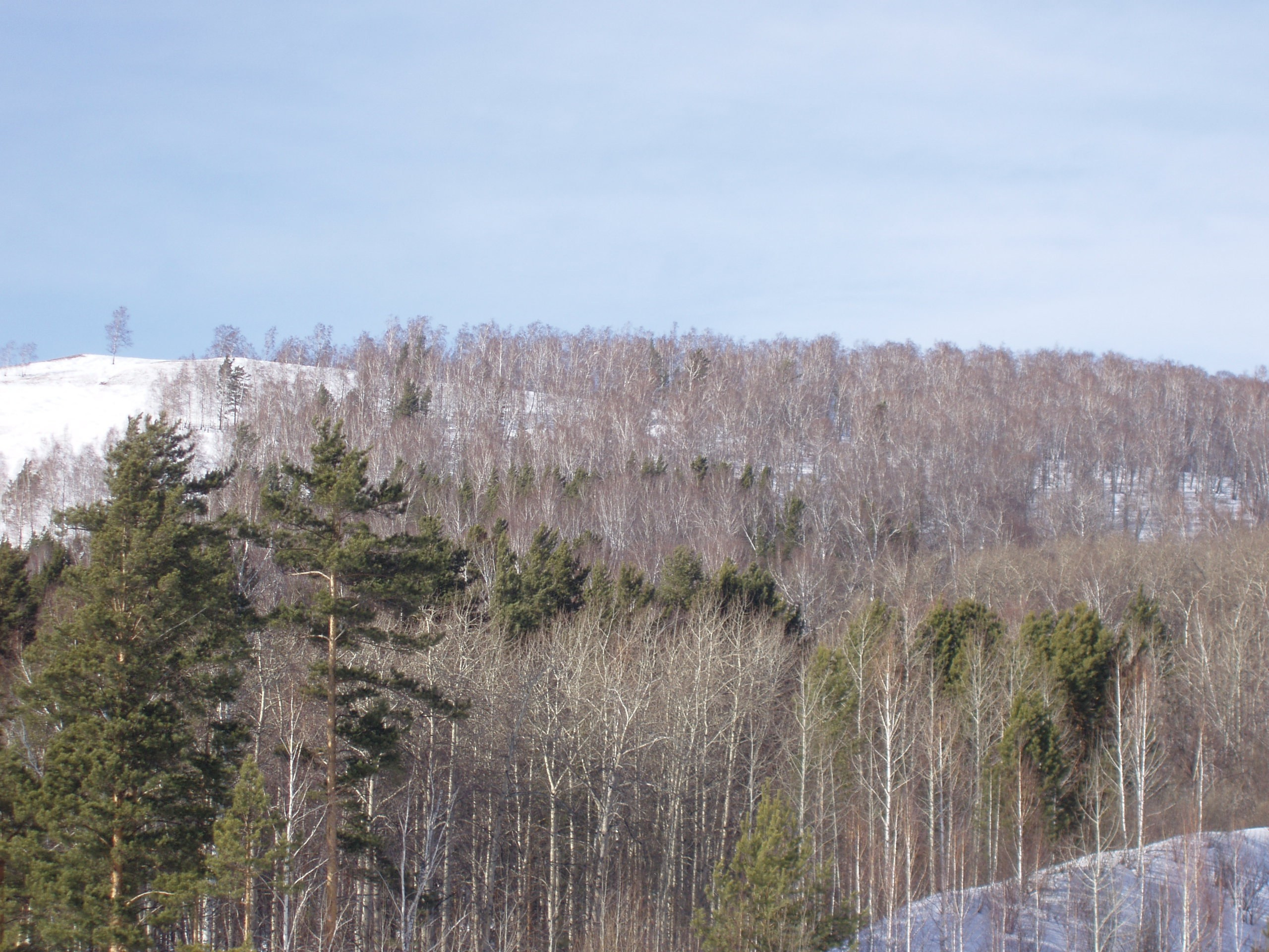 Биатлон 19.02-12.03.2006. Семейный, Свадебный фотограф СПБ Питер— Романова Екатерина