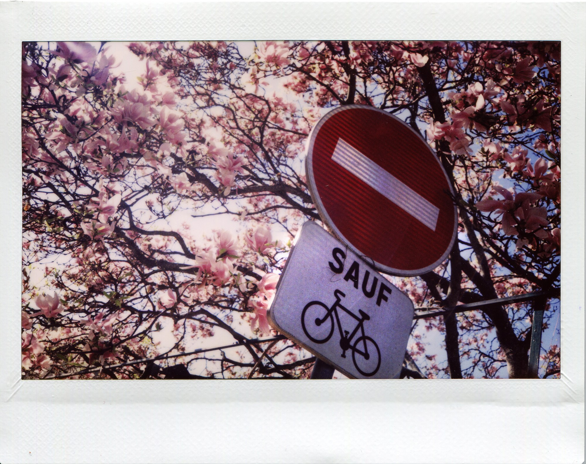 Paris photofilm slide. Iraogo