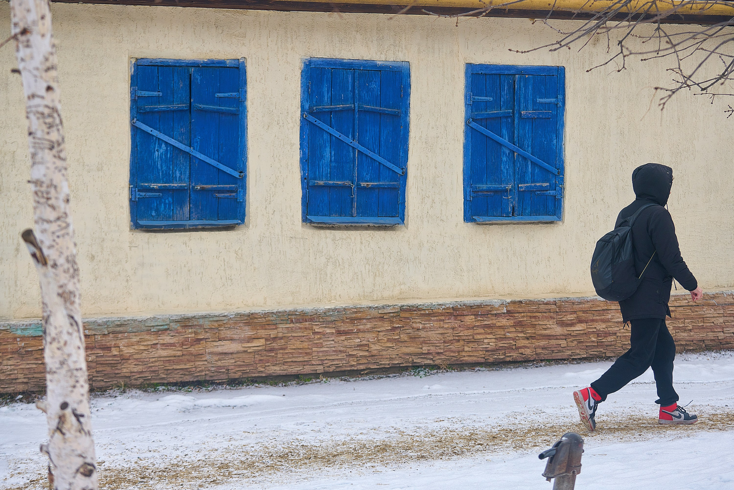 Жизнь, люди, стрит, вокруг, животные, на улице. Яркие фото на Чёрном море