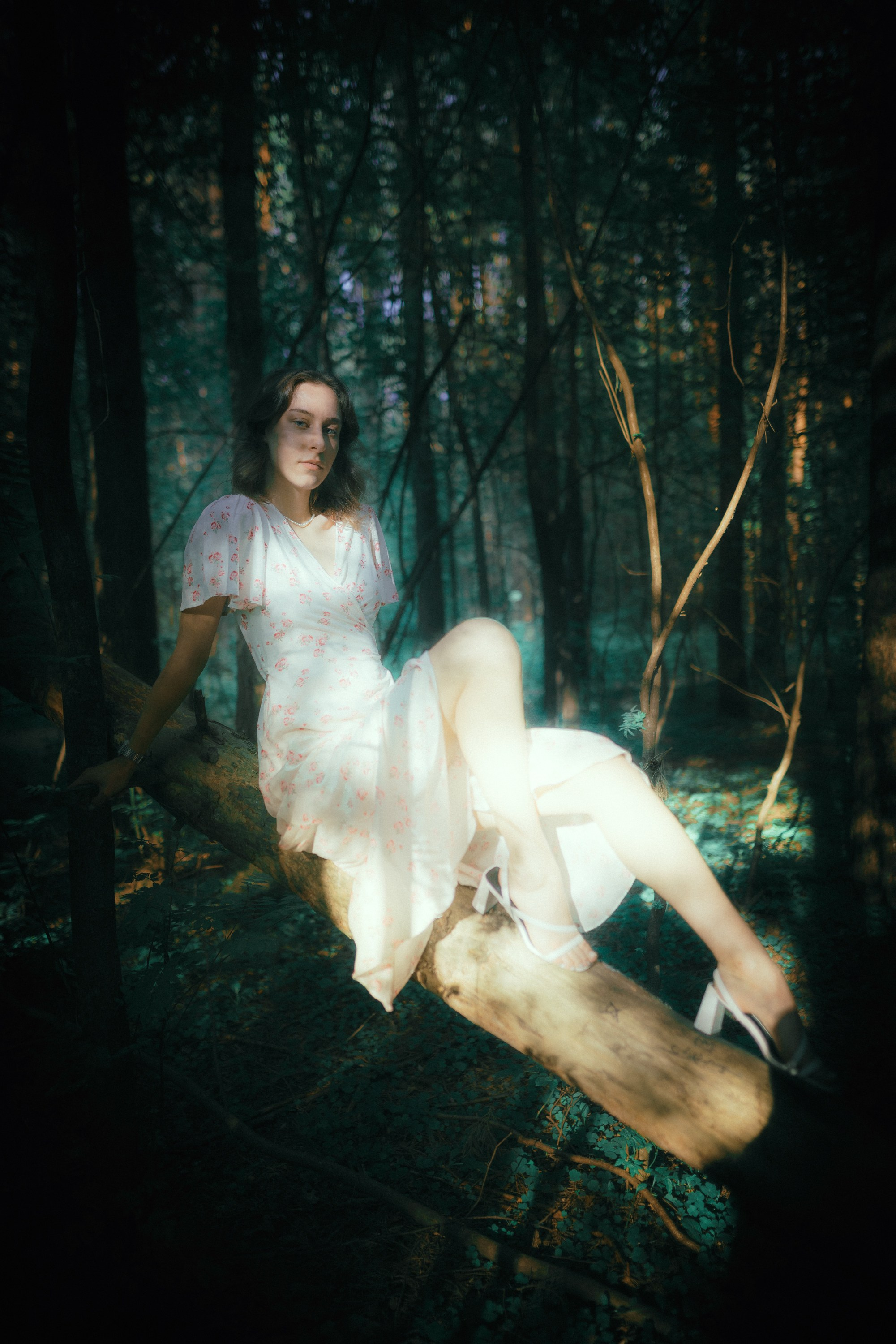 Елена. Александр Макаров