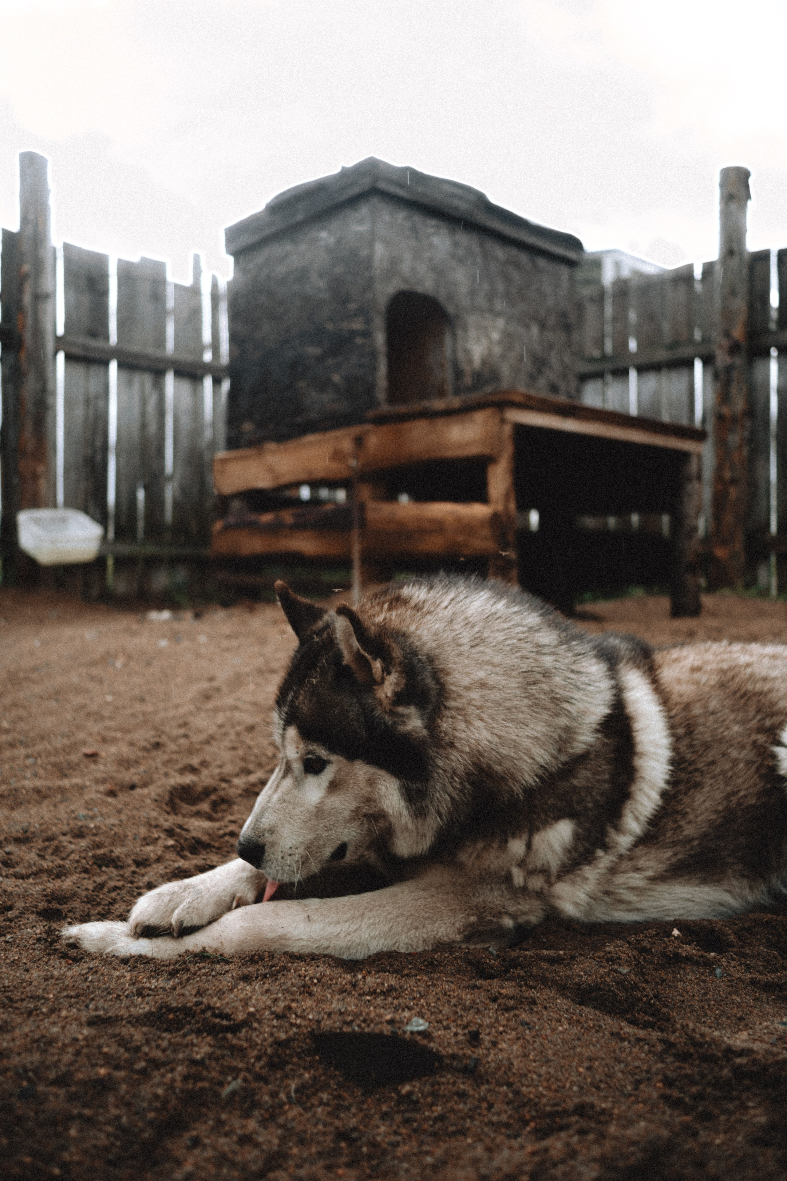 Териберка, Мурманск. Фотосъёмка для компании по организации туров в коллаборации с Яндекс 360
