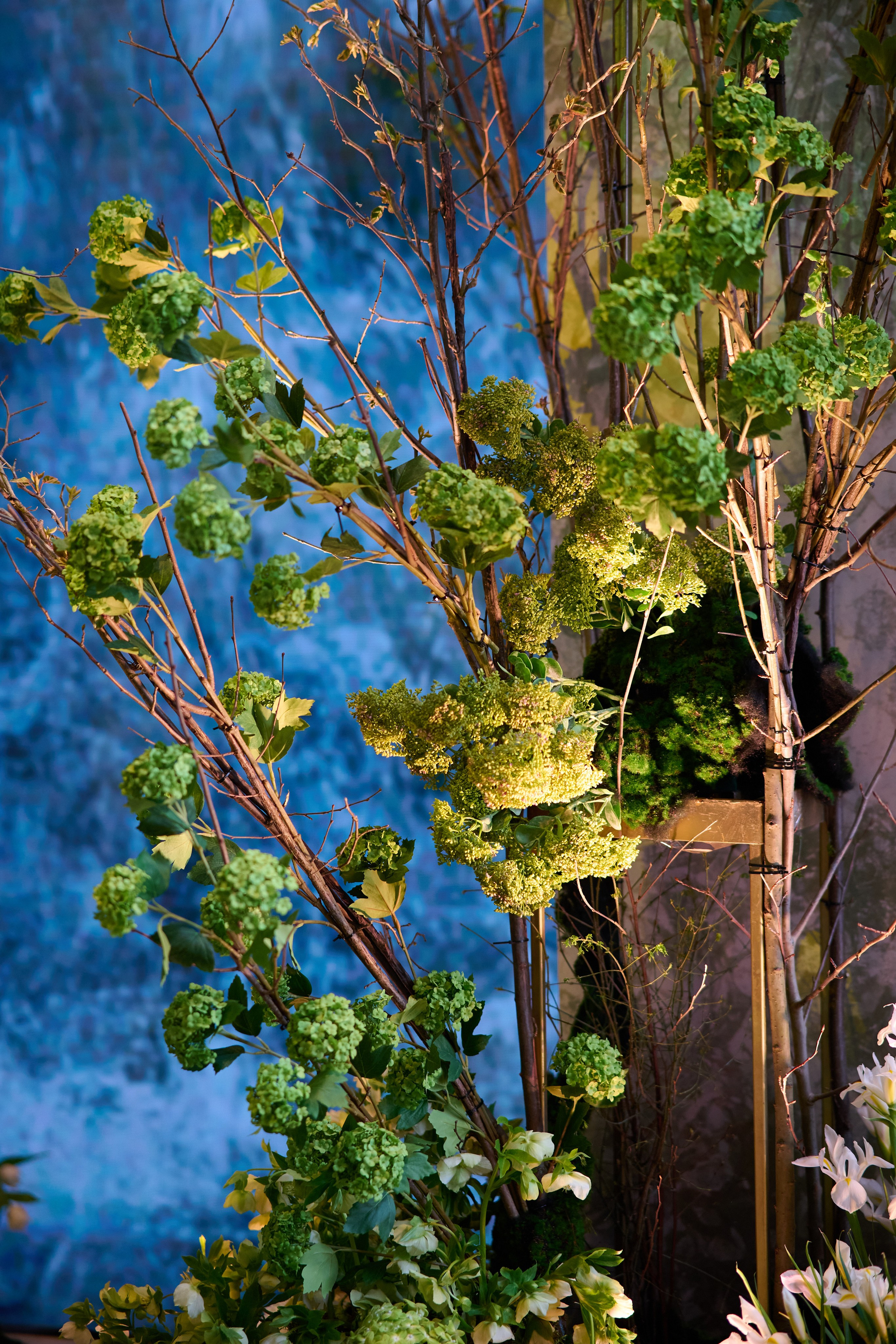 Весна. Репортажный фотограф в Москве и Санкт-Петербурге — Профессиональная съёмка мероприятий | Данила Золкин