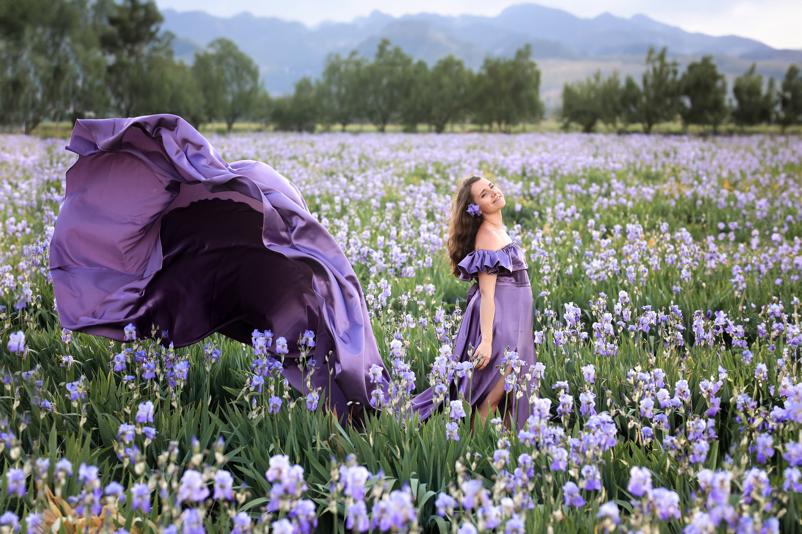 Fields of roses, irises and white poppies