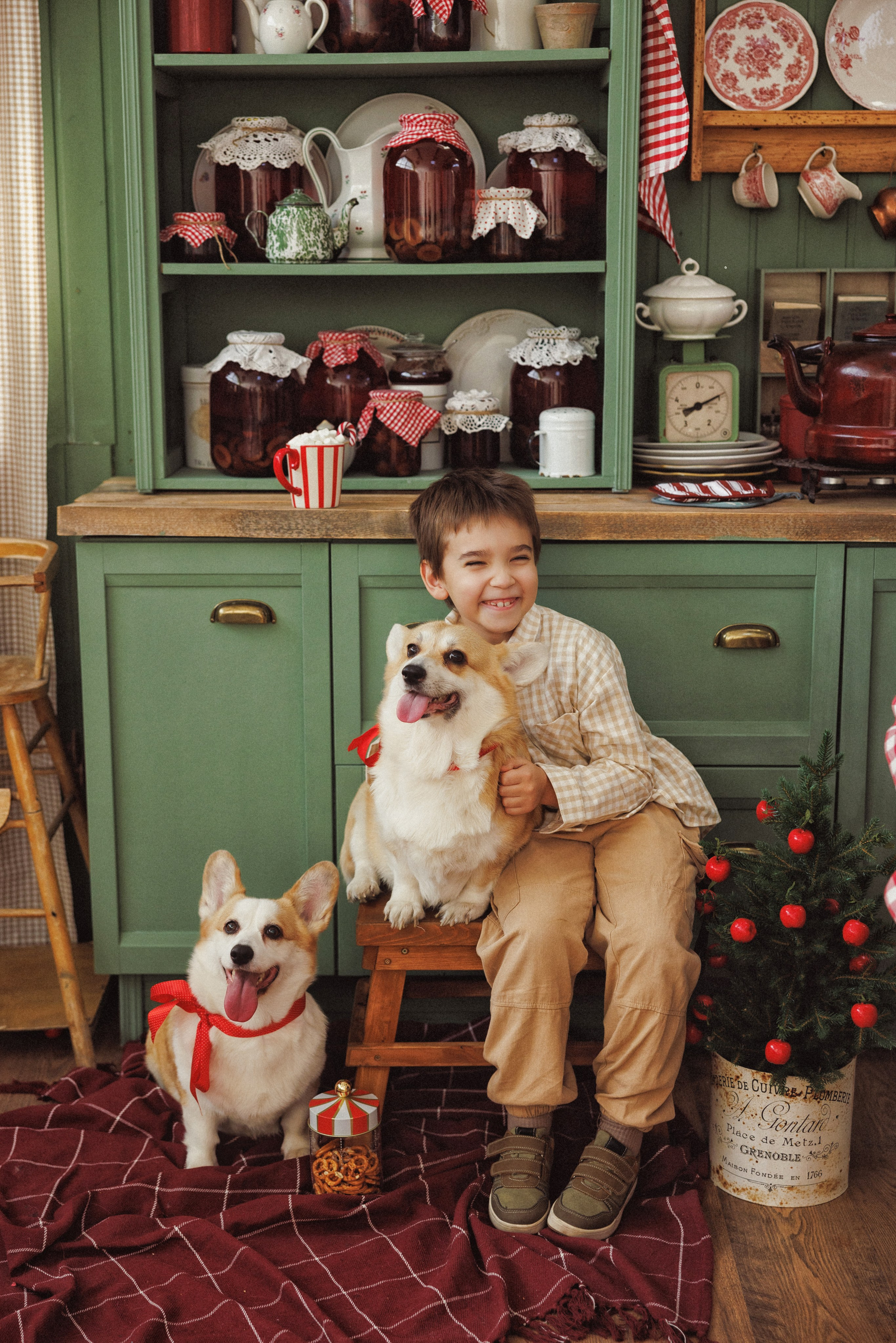 Новогодняя фотосессия с собачками породы Корги, город Краснодар. Семейный и детский фотограф в Краснодаре Анна Трашкова