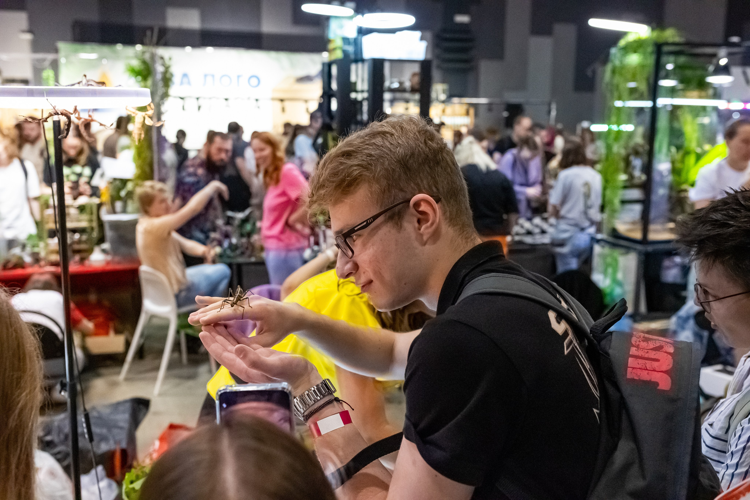 Рептилиум 2024. Александра Куликова фотограф, Москва