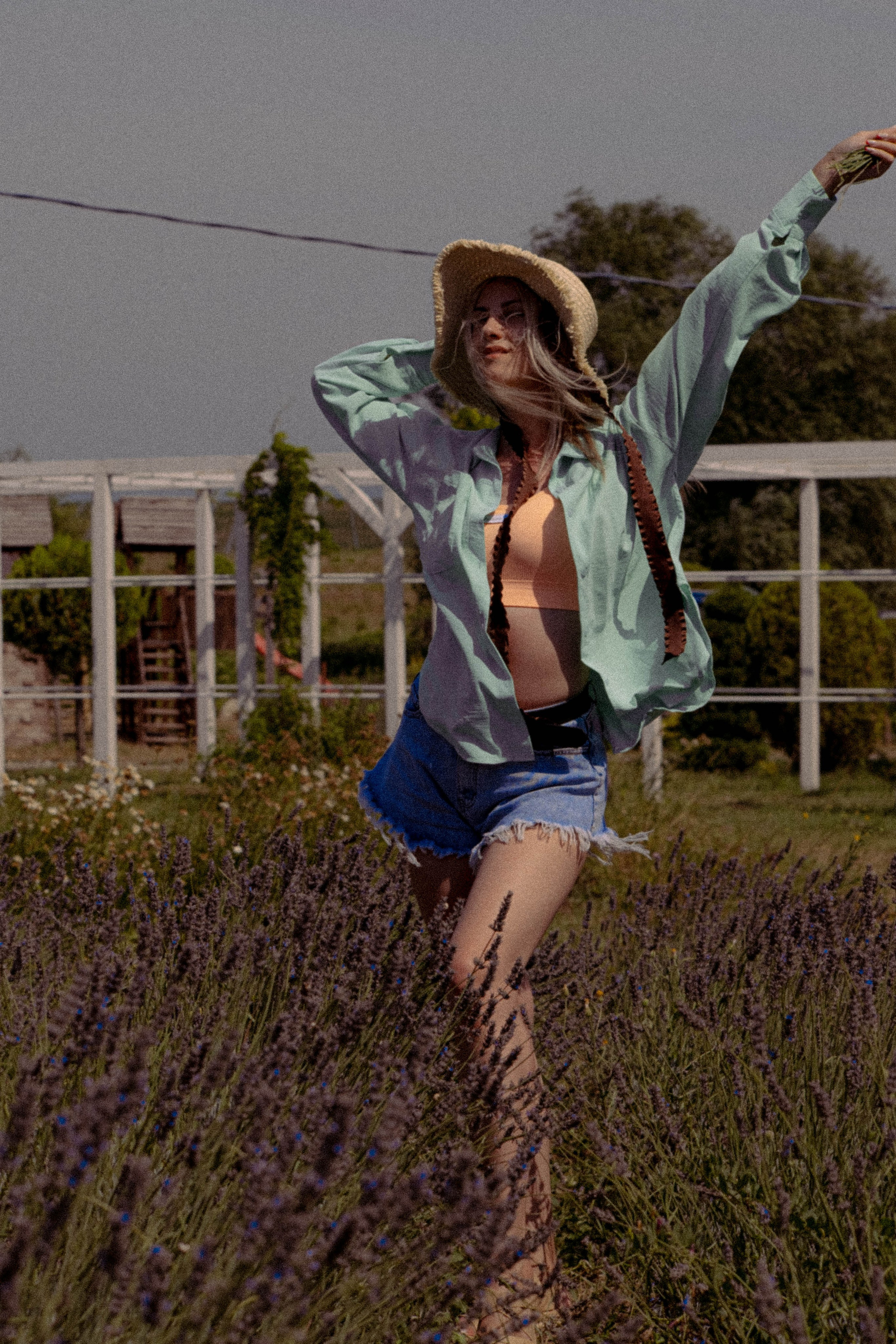 ЛАВАНВОДОВОЕ ПОЛЕ. Профессиональный фотограф, Санкт-Петербург — Виктория Богомолова