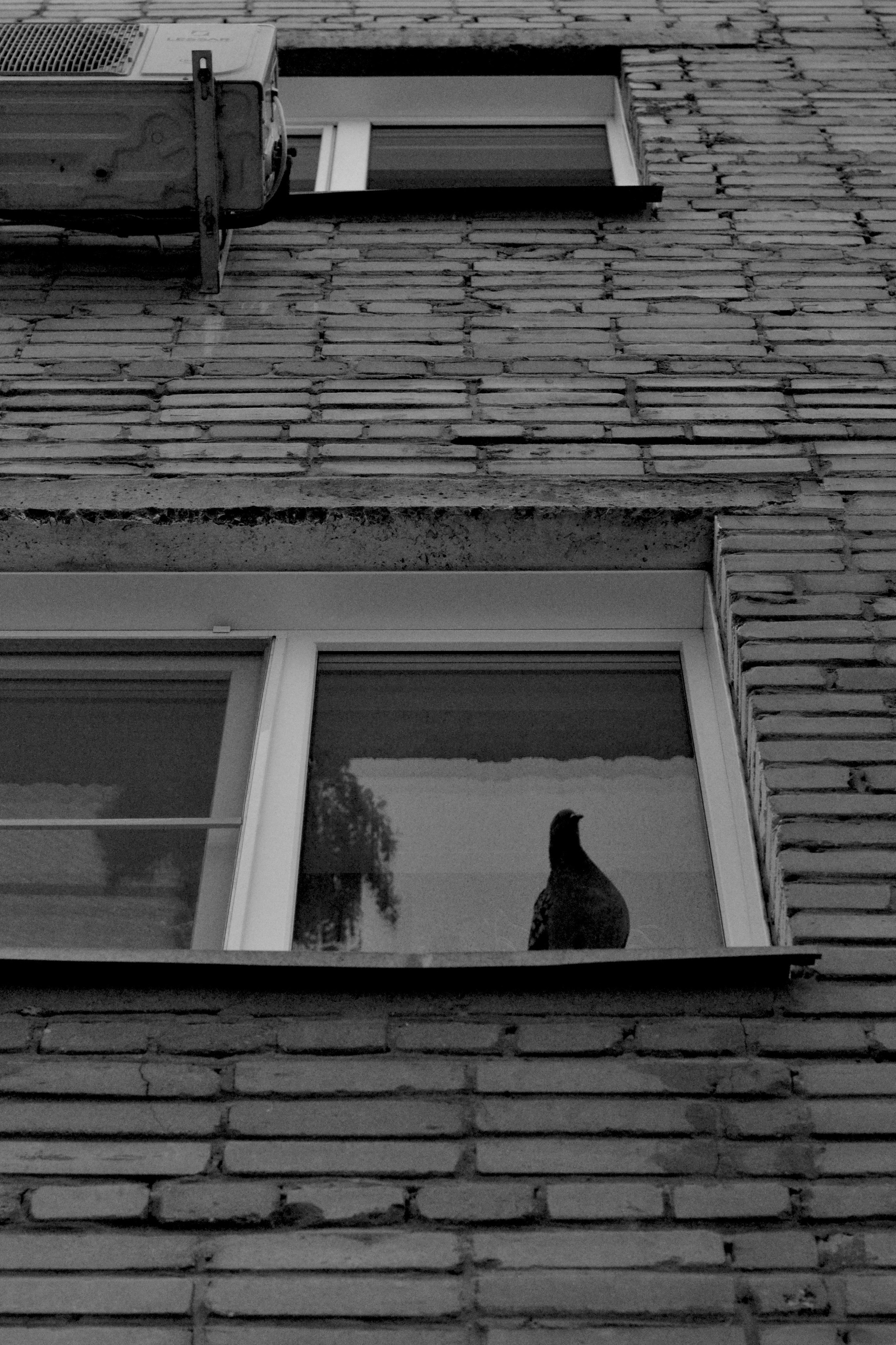 STREET. Фотограф Ольга Дмитриева. Новосибирск