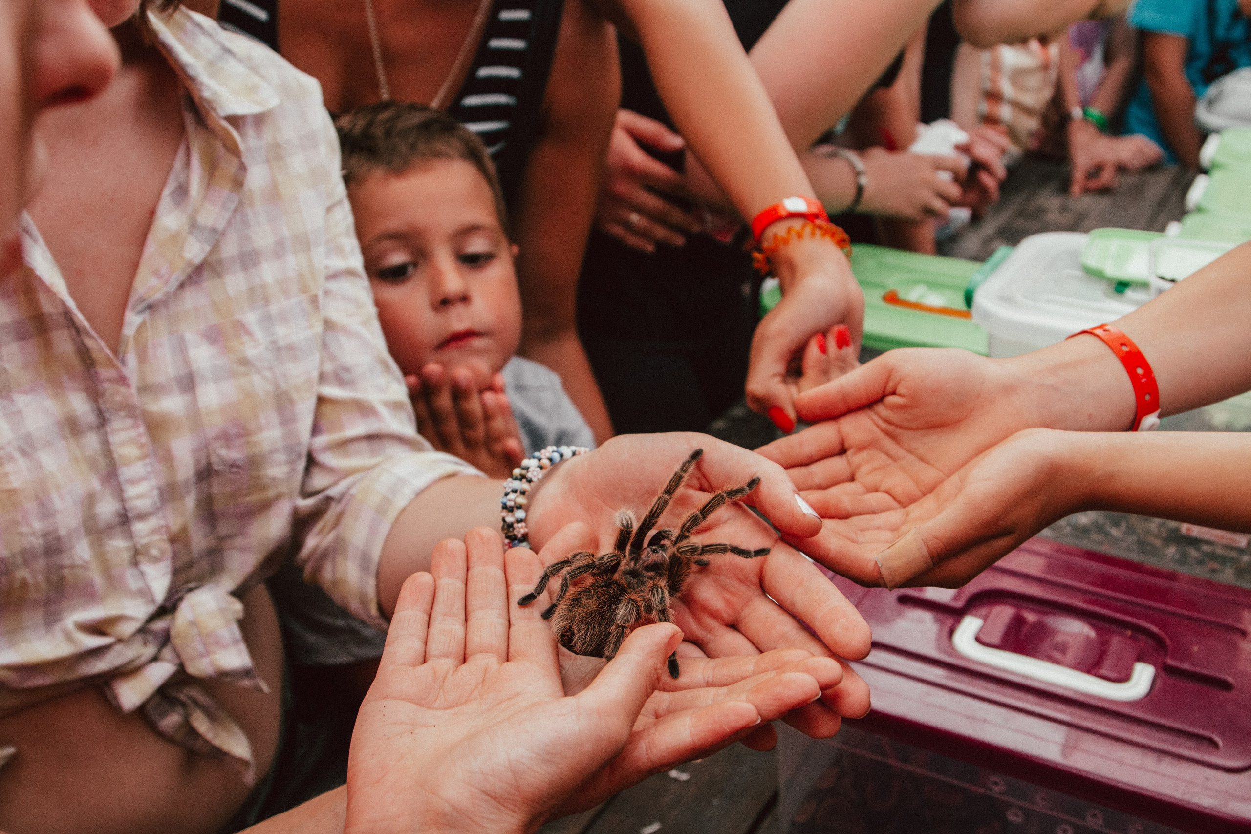 Ленинградская область (серия книг «Крым — Путь к Свободе»)». Репортажный фотограф во Всеволожске и Санкт-Петербурге Владимир Капустин