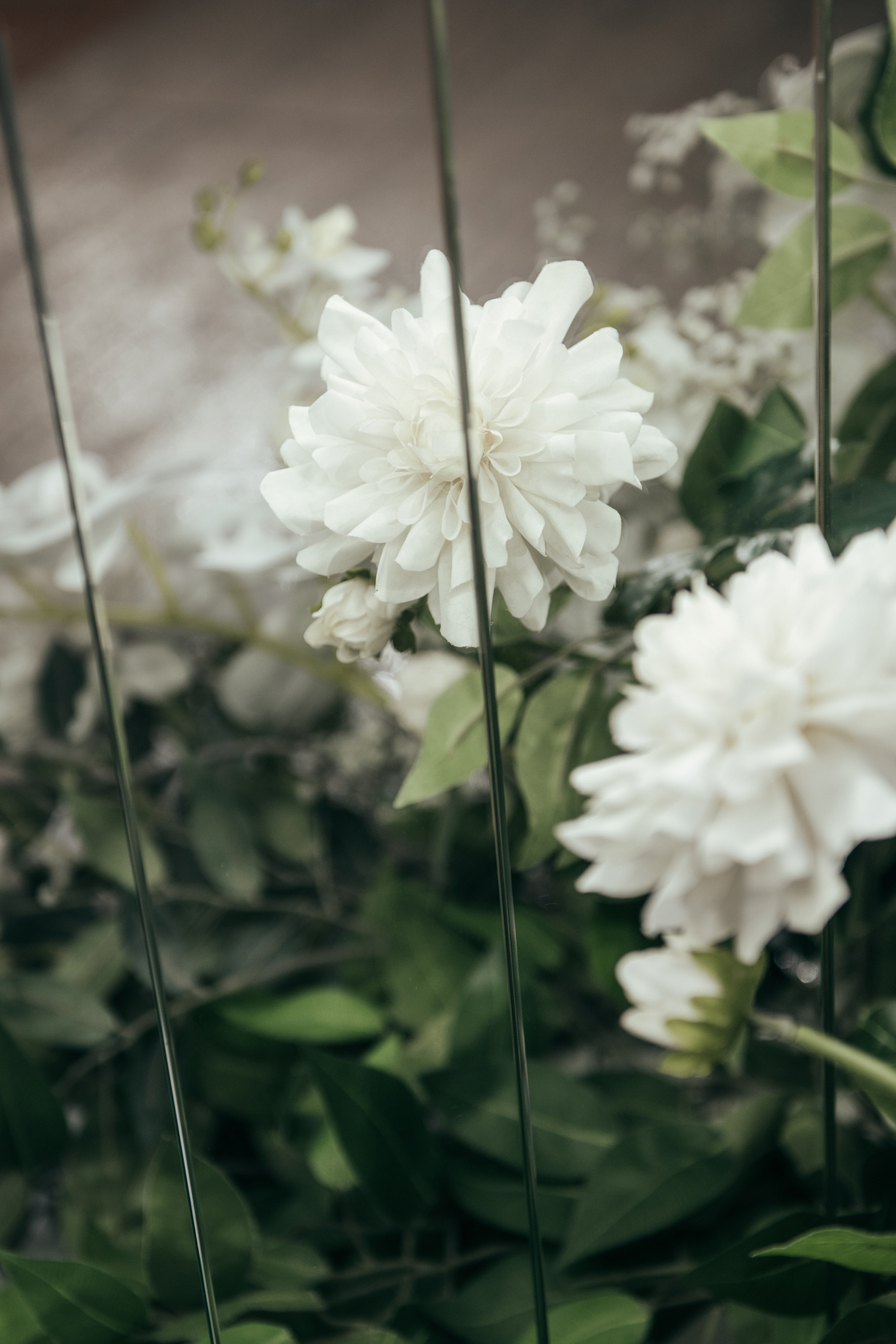 Нелли и Даниил. Свадебный и семейный фотограф Алиса Полякова |Старый Оскол | Воронеж