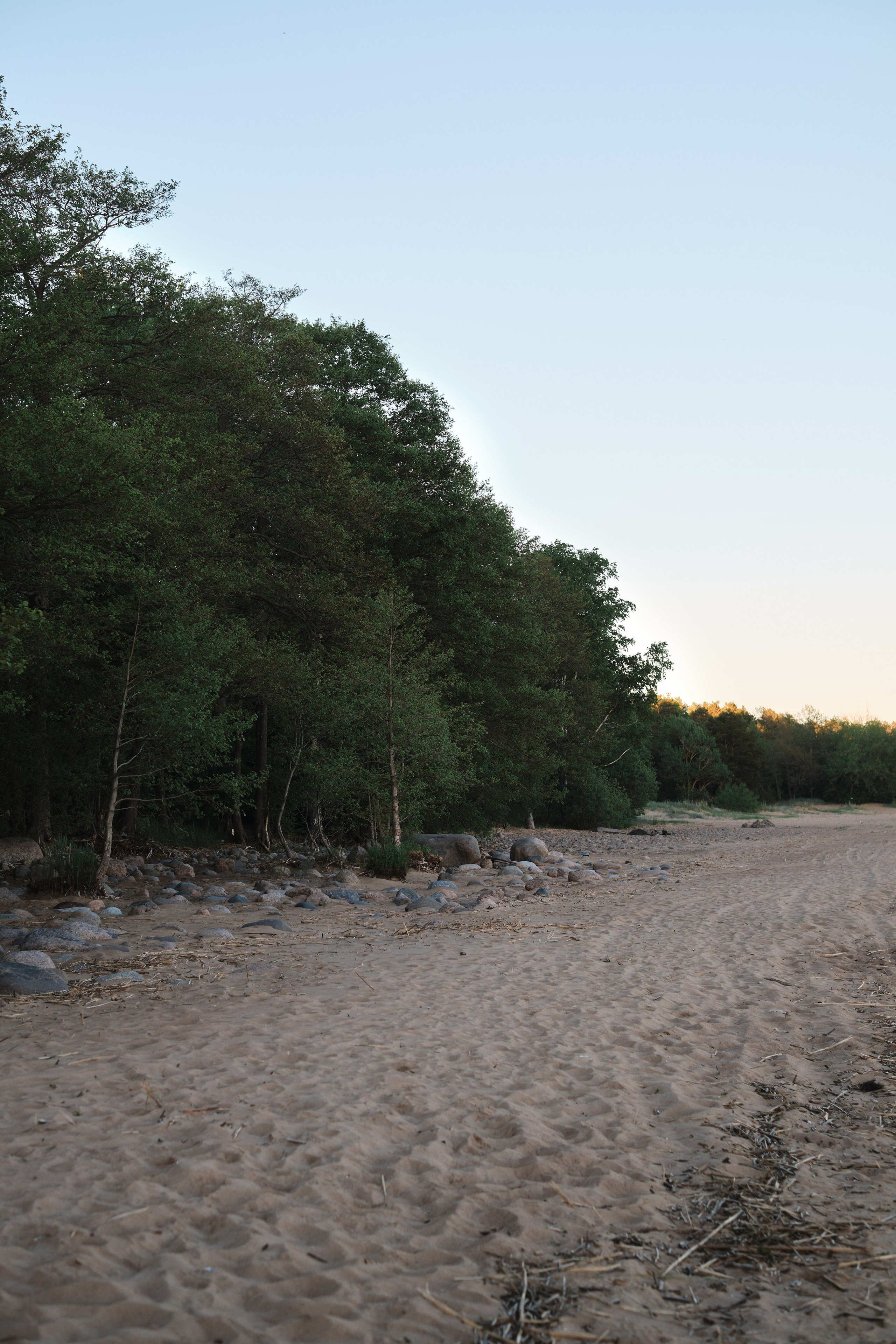 Анна и Дмитрий. Фотограф в Москве и Санкт-Петербурге