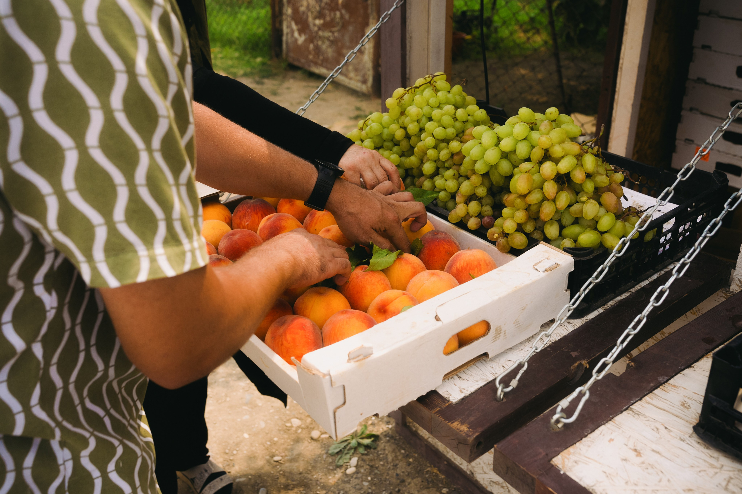 Dagestan / Yandex 360 x КУДА ГЛАЗА ГЛЯДЯТ