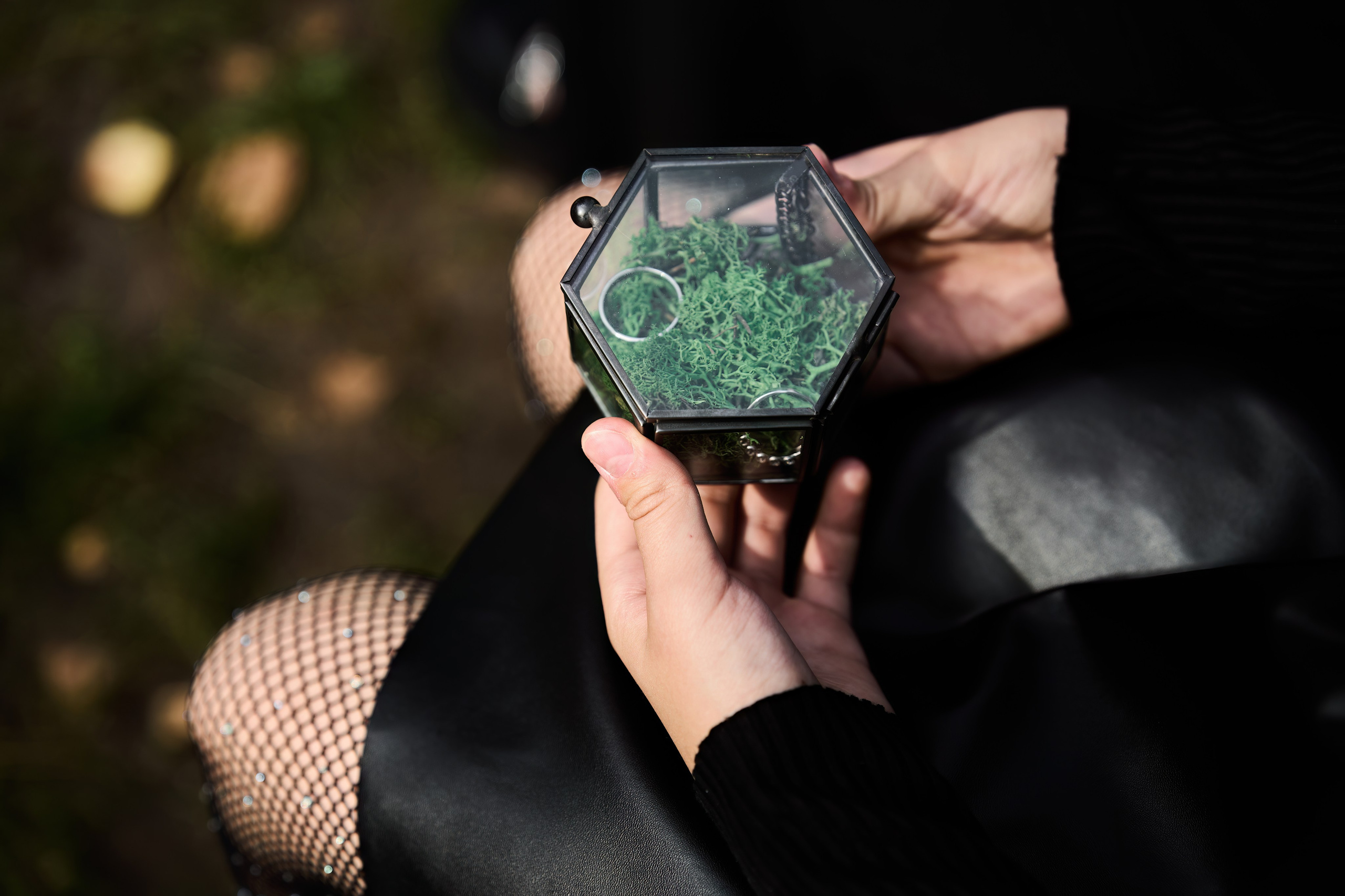 Дмитрий и Ксения. Свадебный фотограф в Барнауле Четошникова Анна