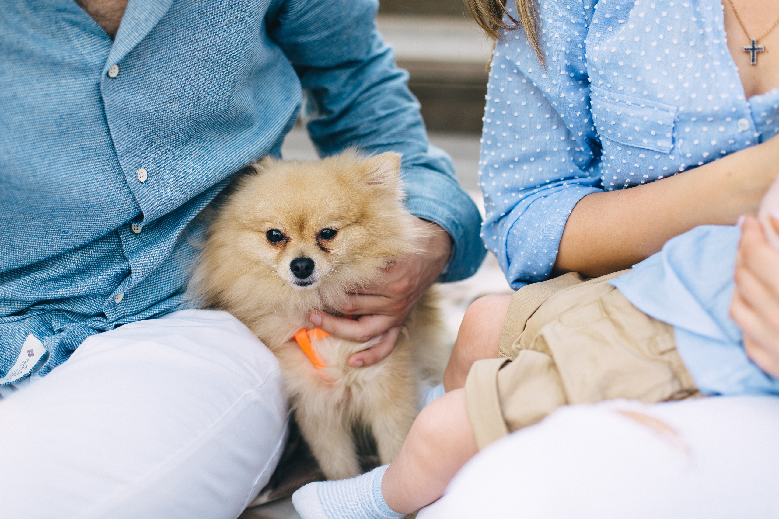 Мы с любовью в сердце вырастаем, если ею полнится семья. Душевный фотограф Ваших самых ярких событий Марина Погребняк