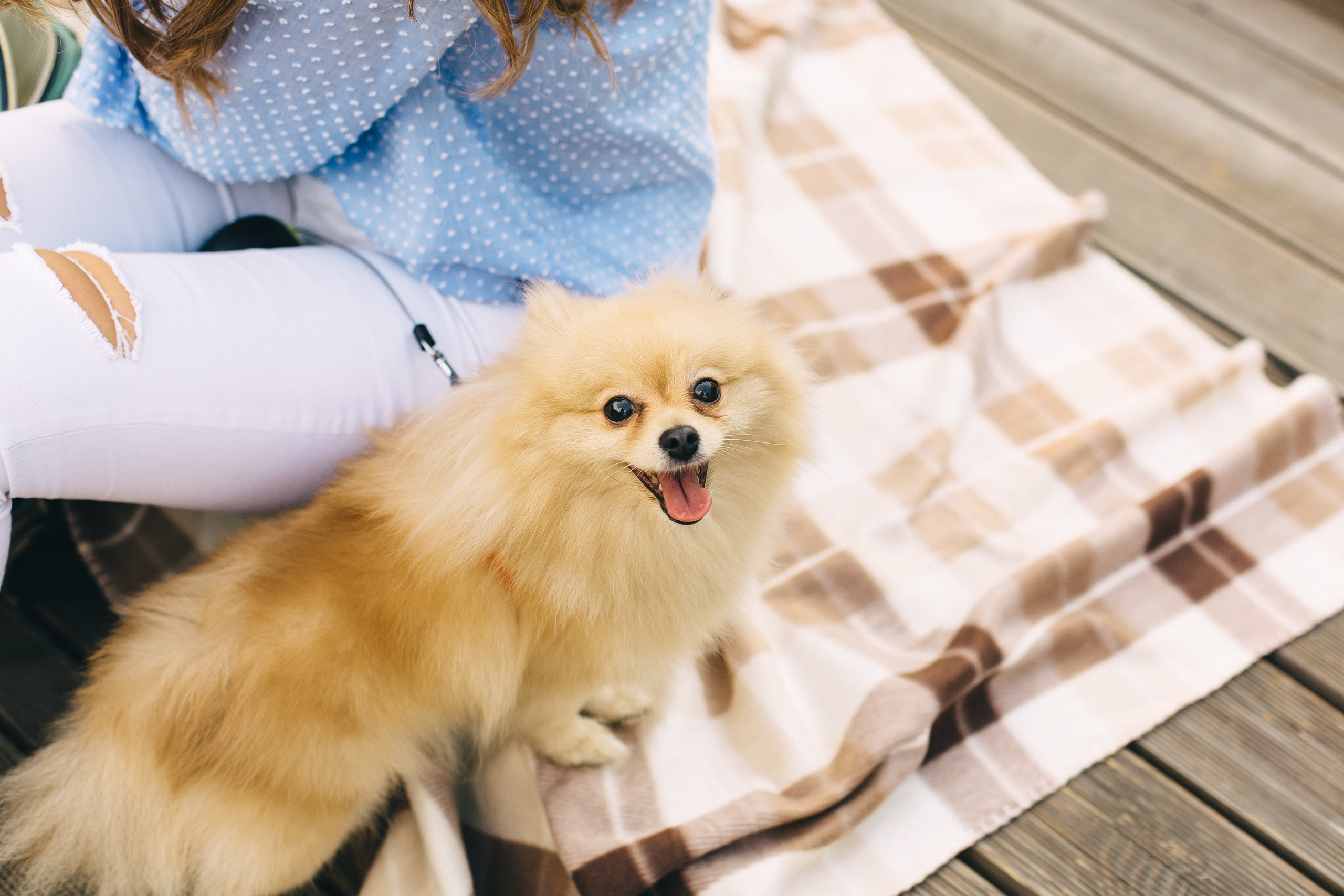 Мы с любовью в сердце вырастаем, если ею полнится семья. Душевный фотограф Ваших самых ярких событий Марина Погребняк