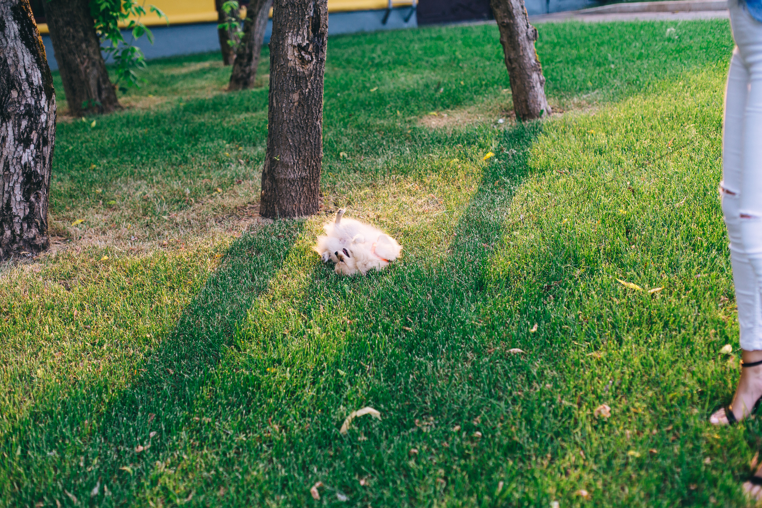 Мы с любовью в сердце вырастаем, если ею полнится семья. Душевный фотограф Ваших самых ярких событий Марина Погребняк