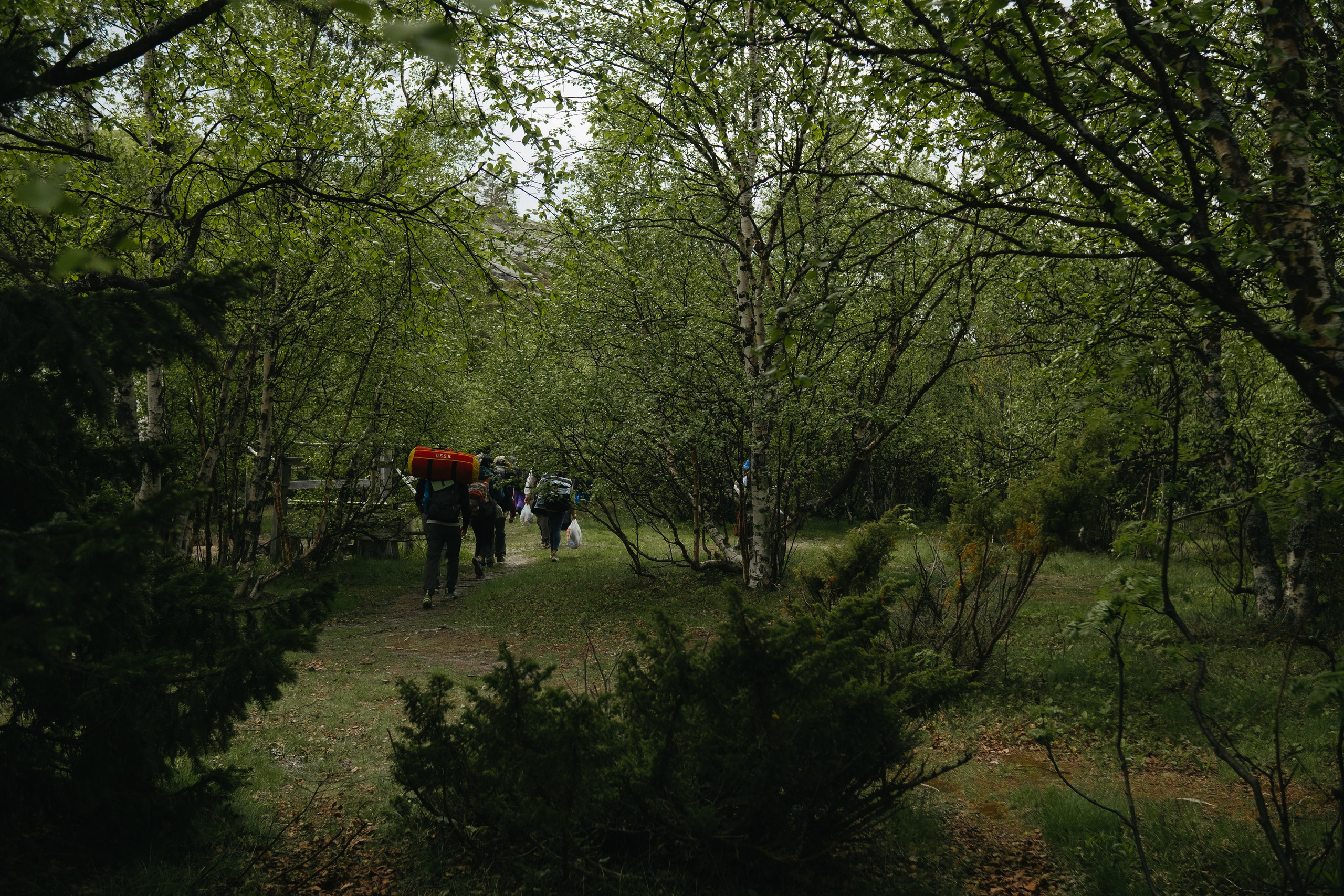 Карелия и Соловецкие острова. Обо мне