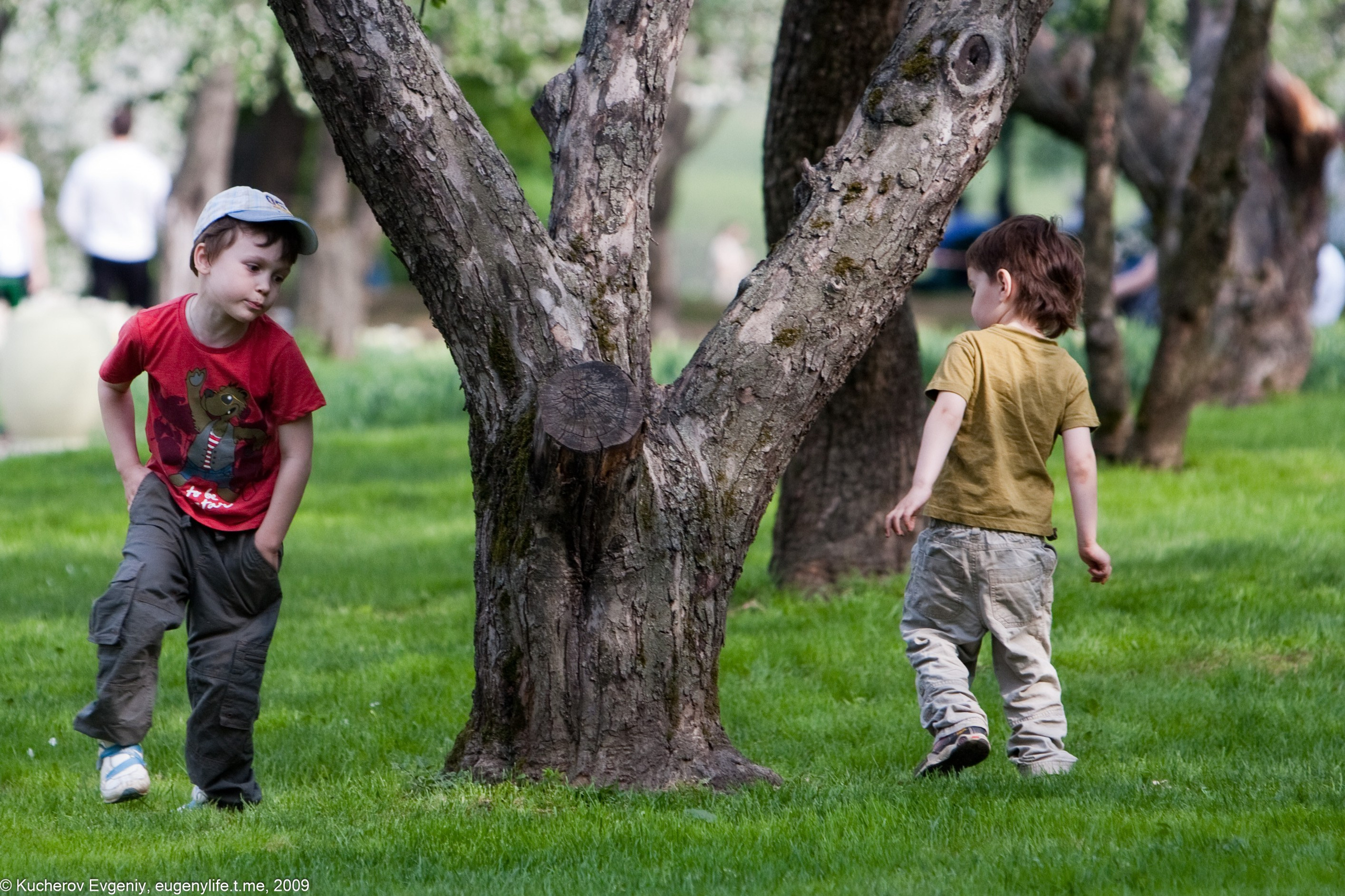 Репортаж. Кучеров Евгений. Фотограф