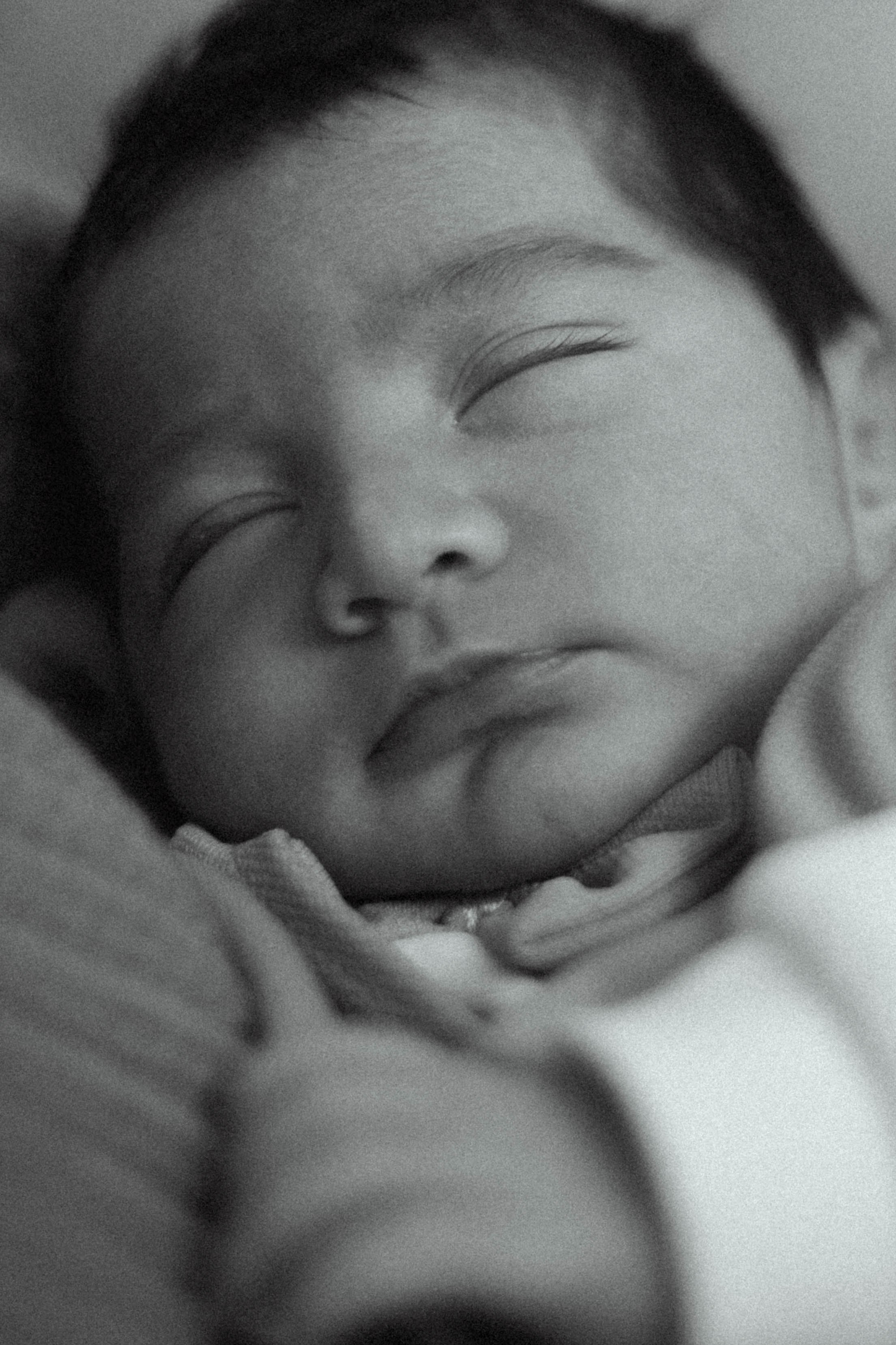 Выписка Сева, Сехран, Мурад, Имран. Семейный фотограф Юлия Котова