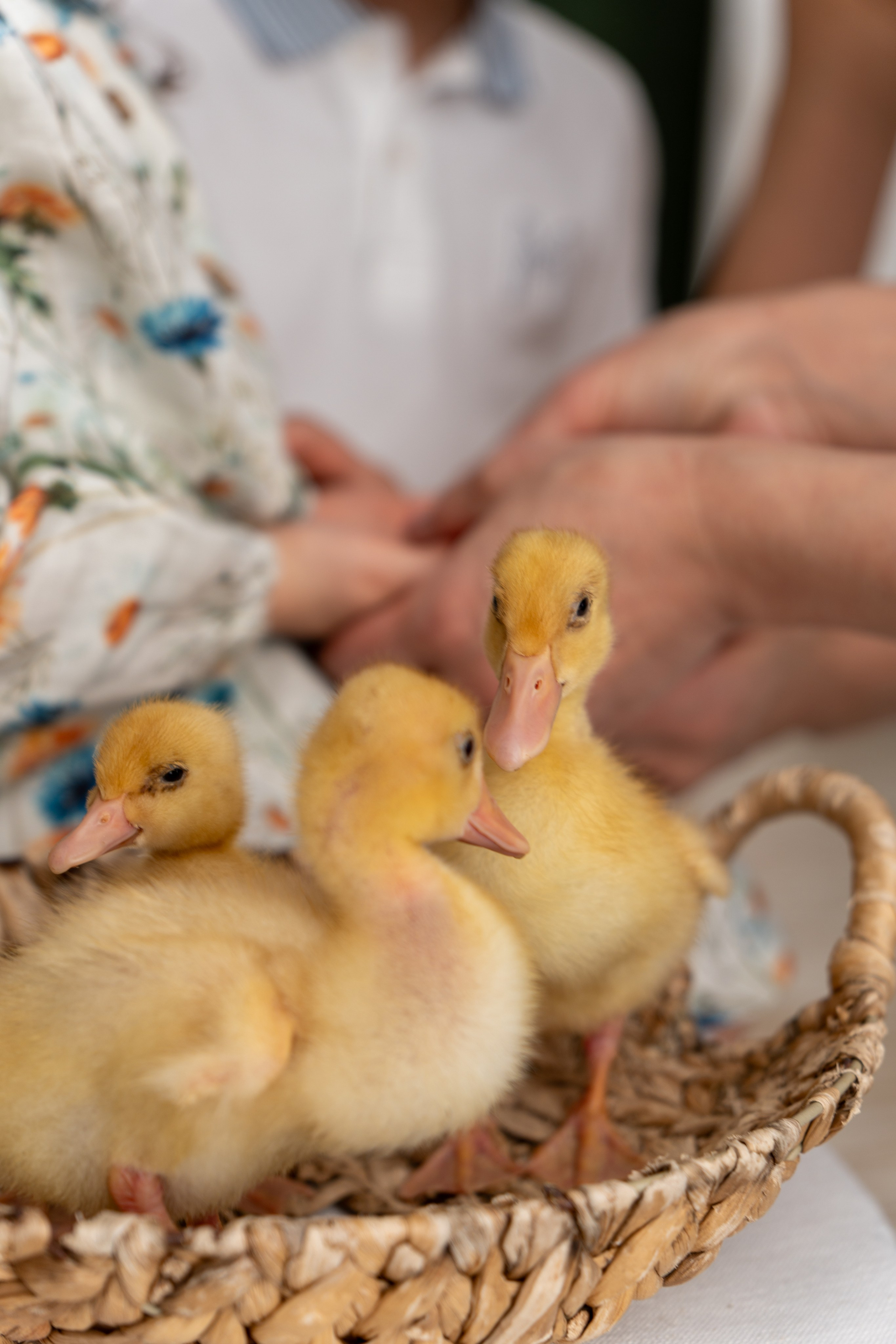 Семейная фотосессия на Пасху. Фото и видео съёмка в Москве и МО Александр Чапала и Трояк Алеся