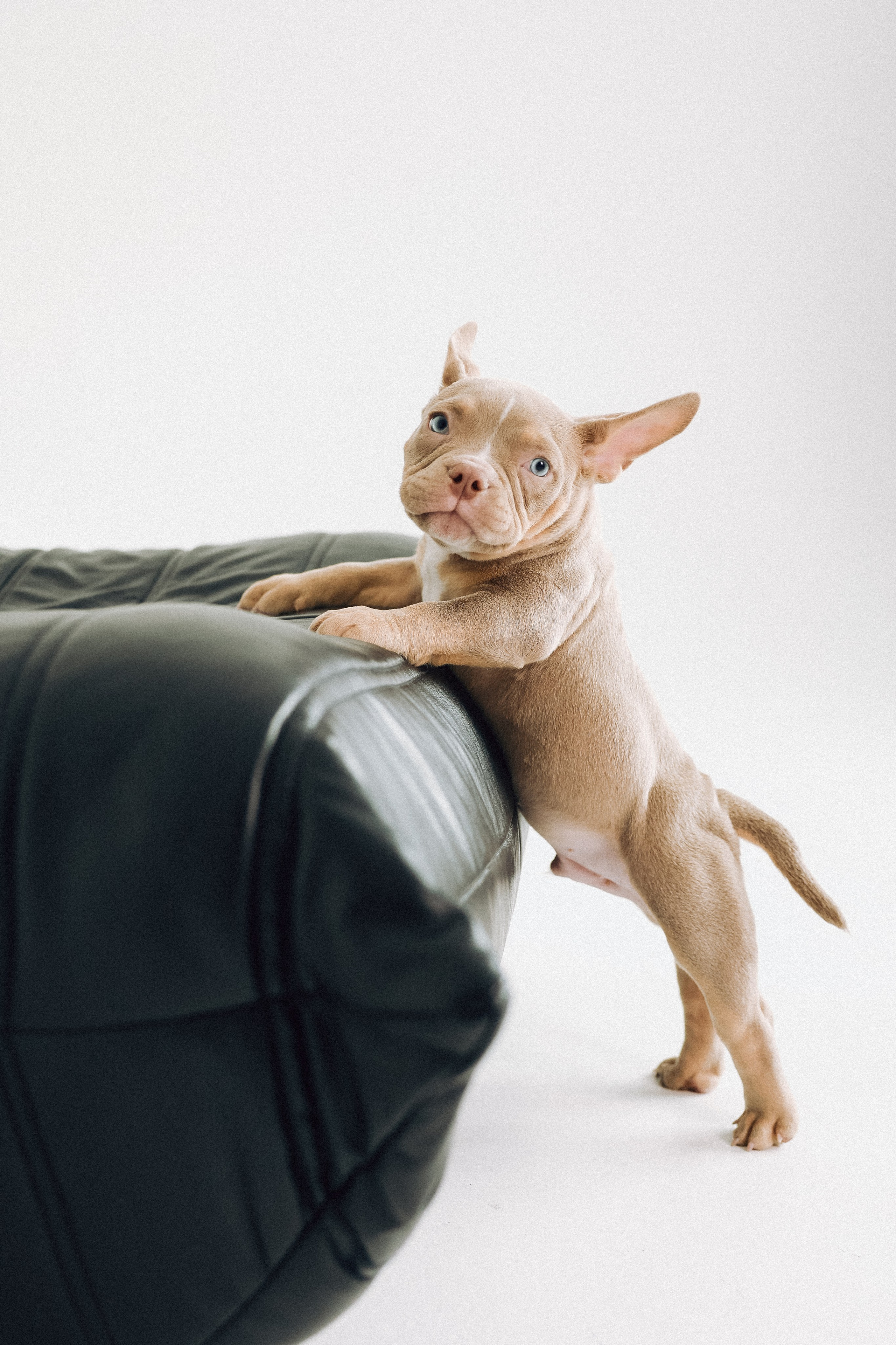 Семейная съемка с хвостиком. Фотограф Юлия Герасимова Иркутск