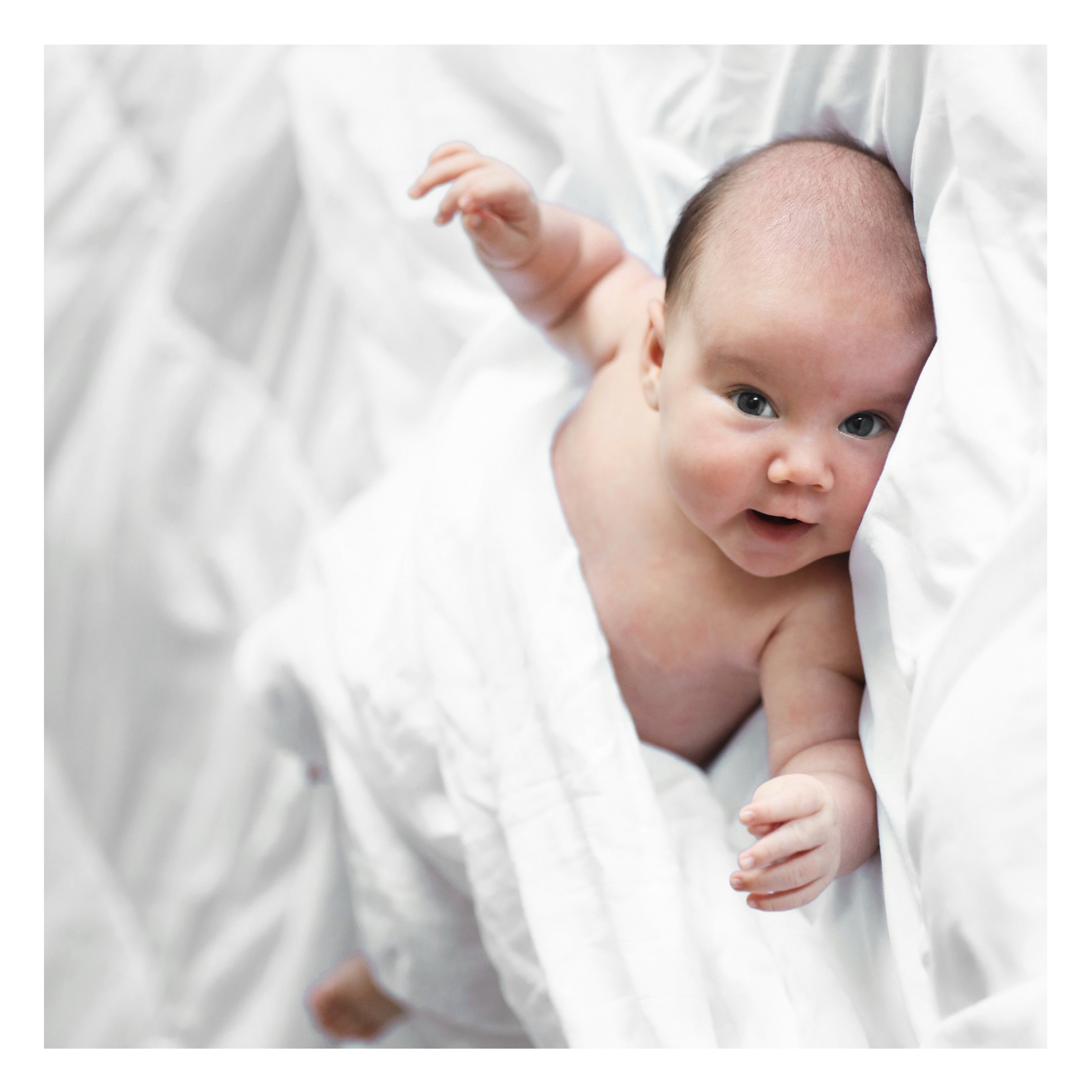 Игорь и Дарья. Семейный и детский фотограф Монахова Екатерина, Москва