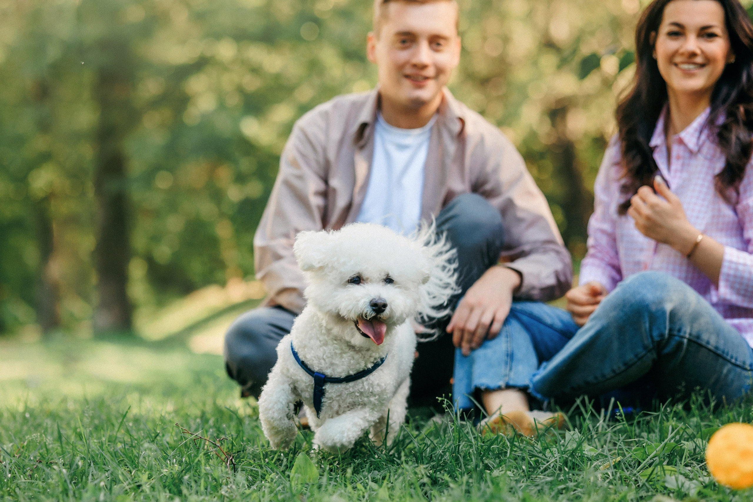 Марина, Данил и Бруно. Фотограф-анималист Елена Радченко, Москва