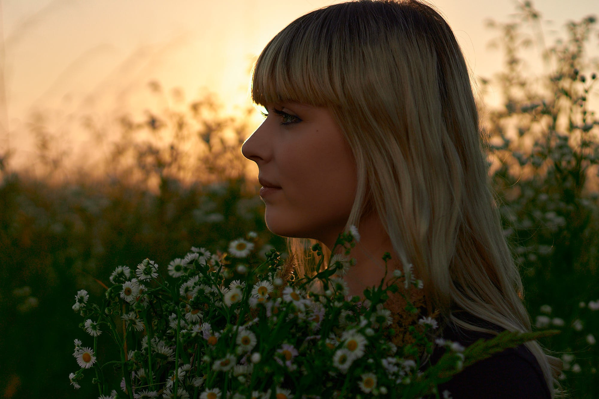 Фотосессия в ромашковом поле Лиля. Семейный и свадебный фотограф в Краснодаре Михеева Светлана