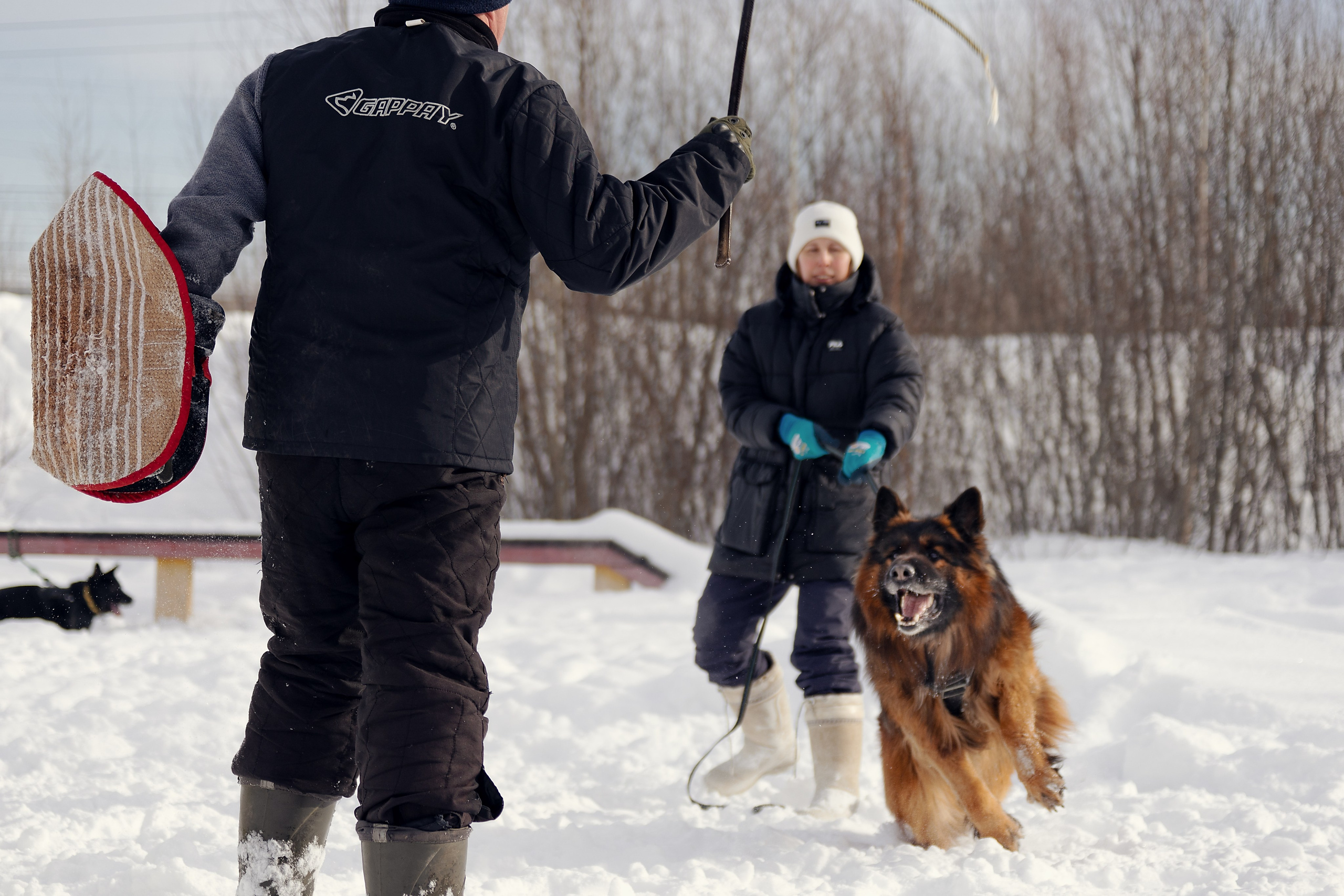 Репортажная съемка. Фотограф-анималист Нижний Новгород
