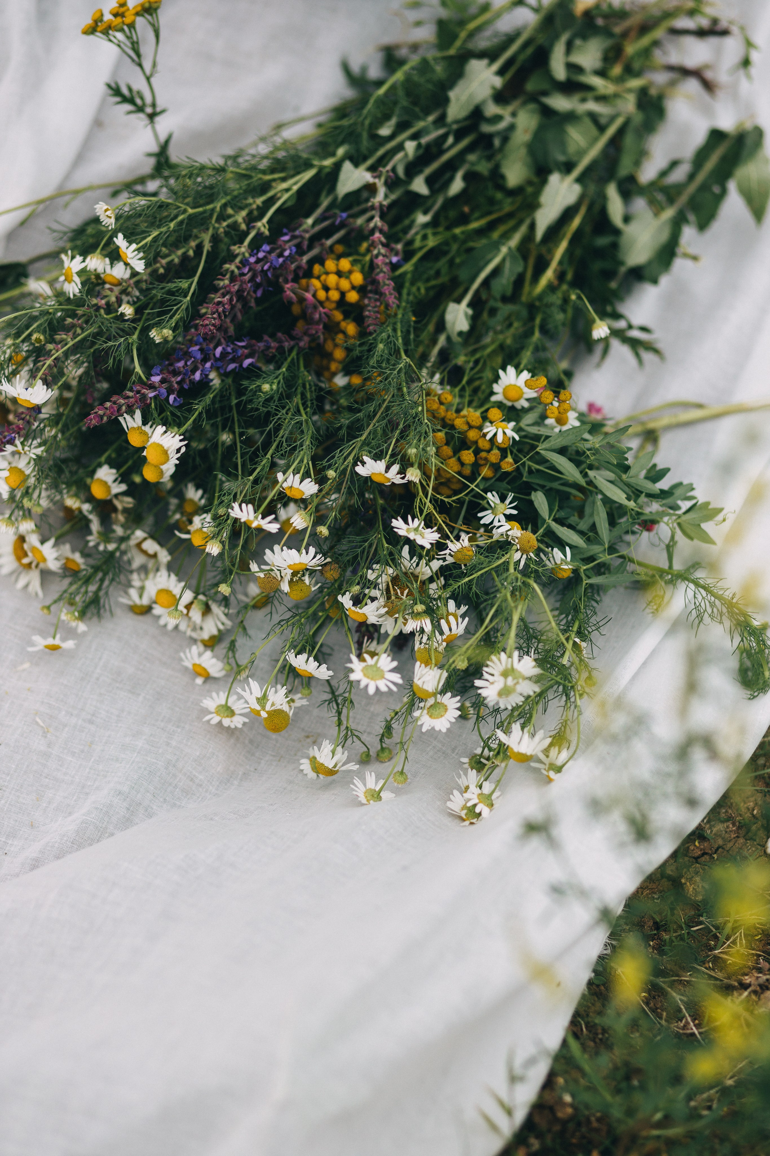 Природа. Свадебный и семейный фотограф Ростова-на-Дону Ирина Бондарева