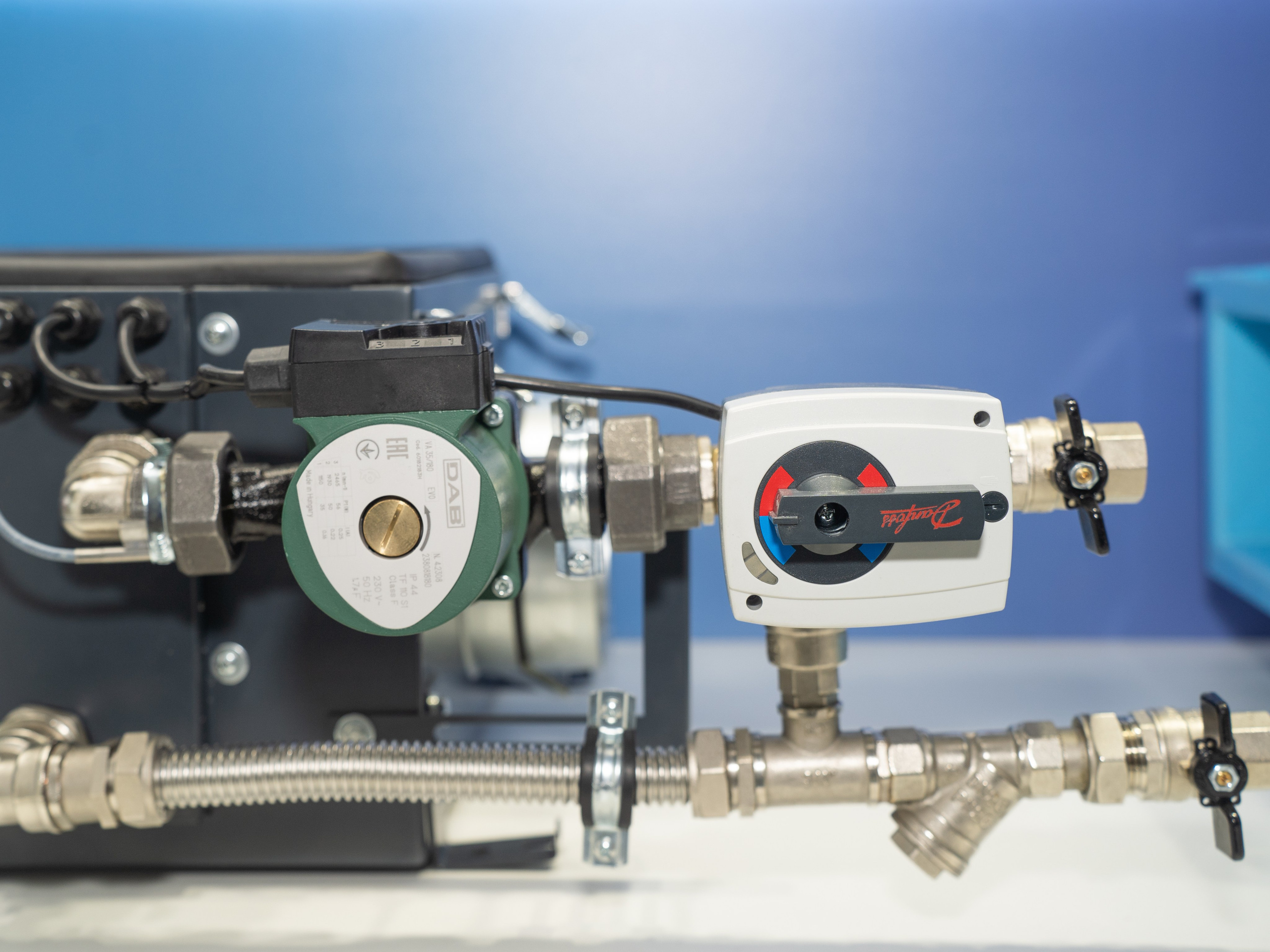 Крокус Вентиляция. Фотограф Зинаида Евдокимова