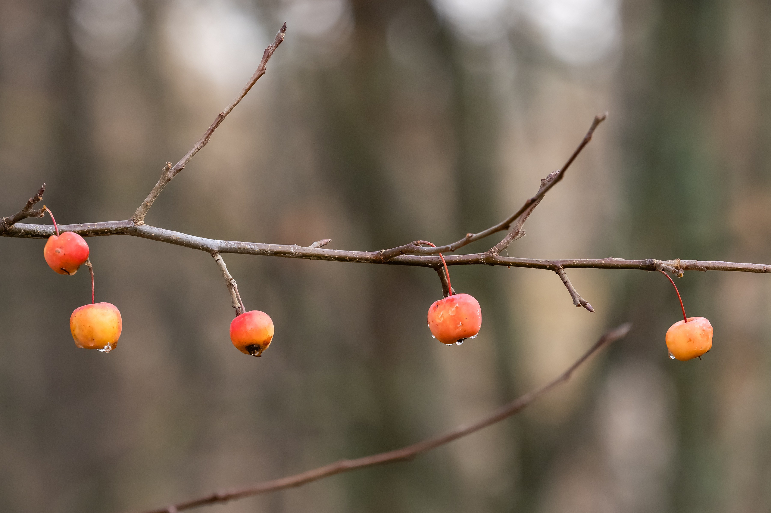 Красота Заречного. Репортажный, семейный и детский фотограф в Пензе и Заречном Арина Ермилова. Картины барельеф на заказ