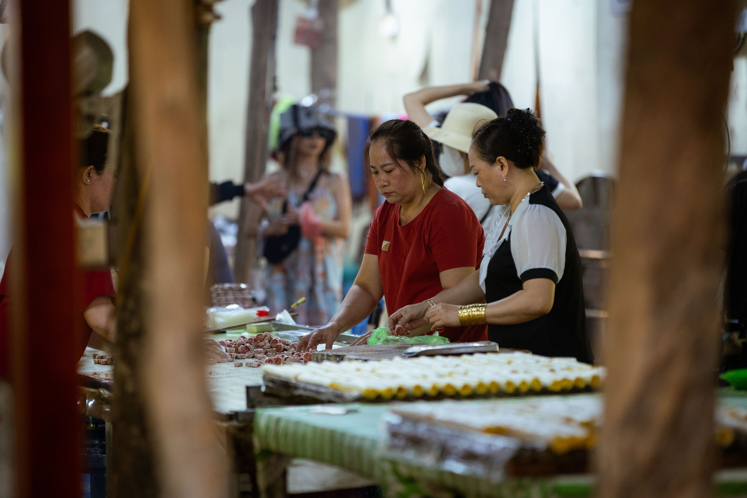 Вьетнам (зима 2025-2026). Фотограф Виноградов Константин