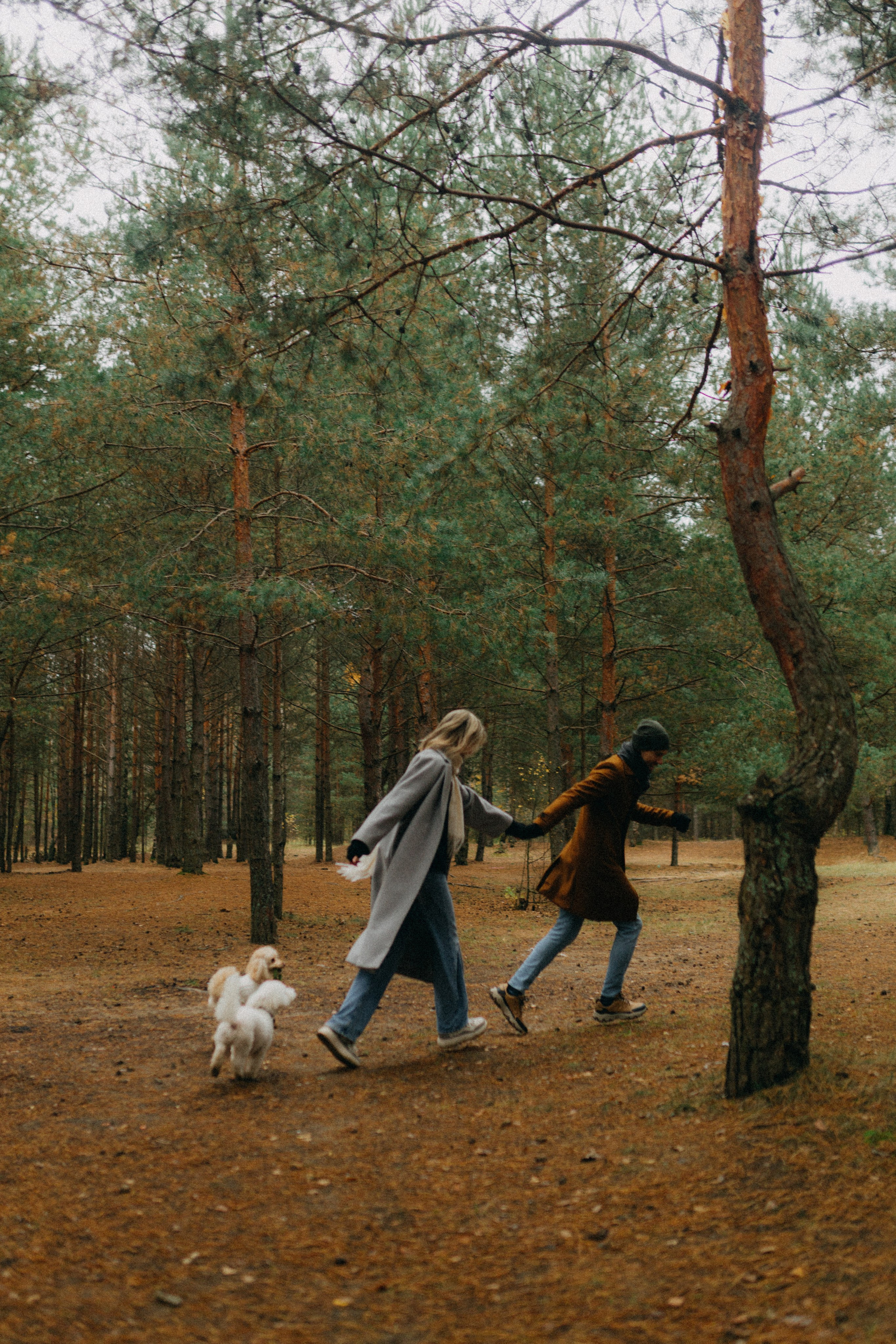 Лена & Миша. Фотограф НОГИНСК, Москва, Анастасия Белая
