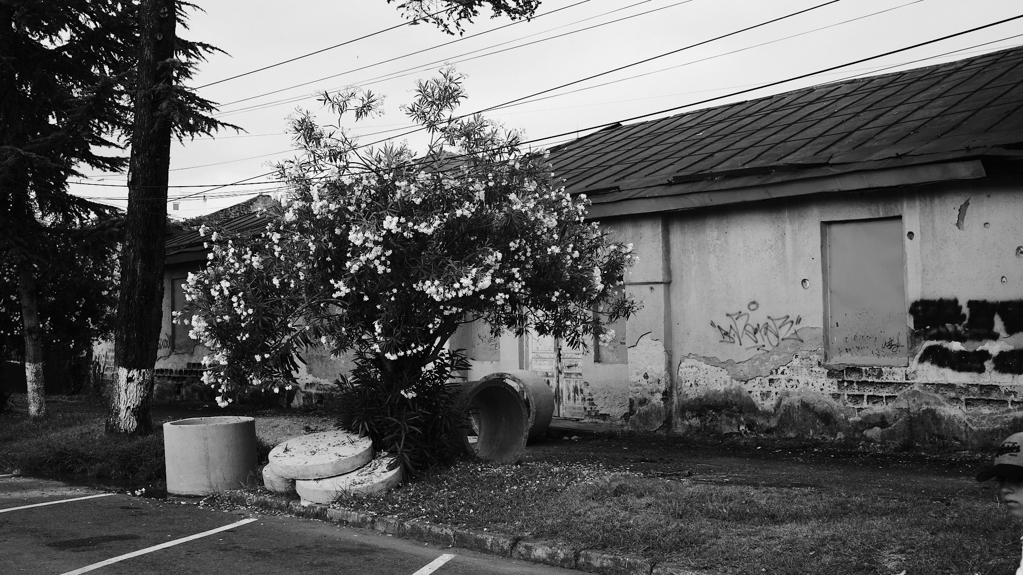 Фотограф Владимир Кононенко