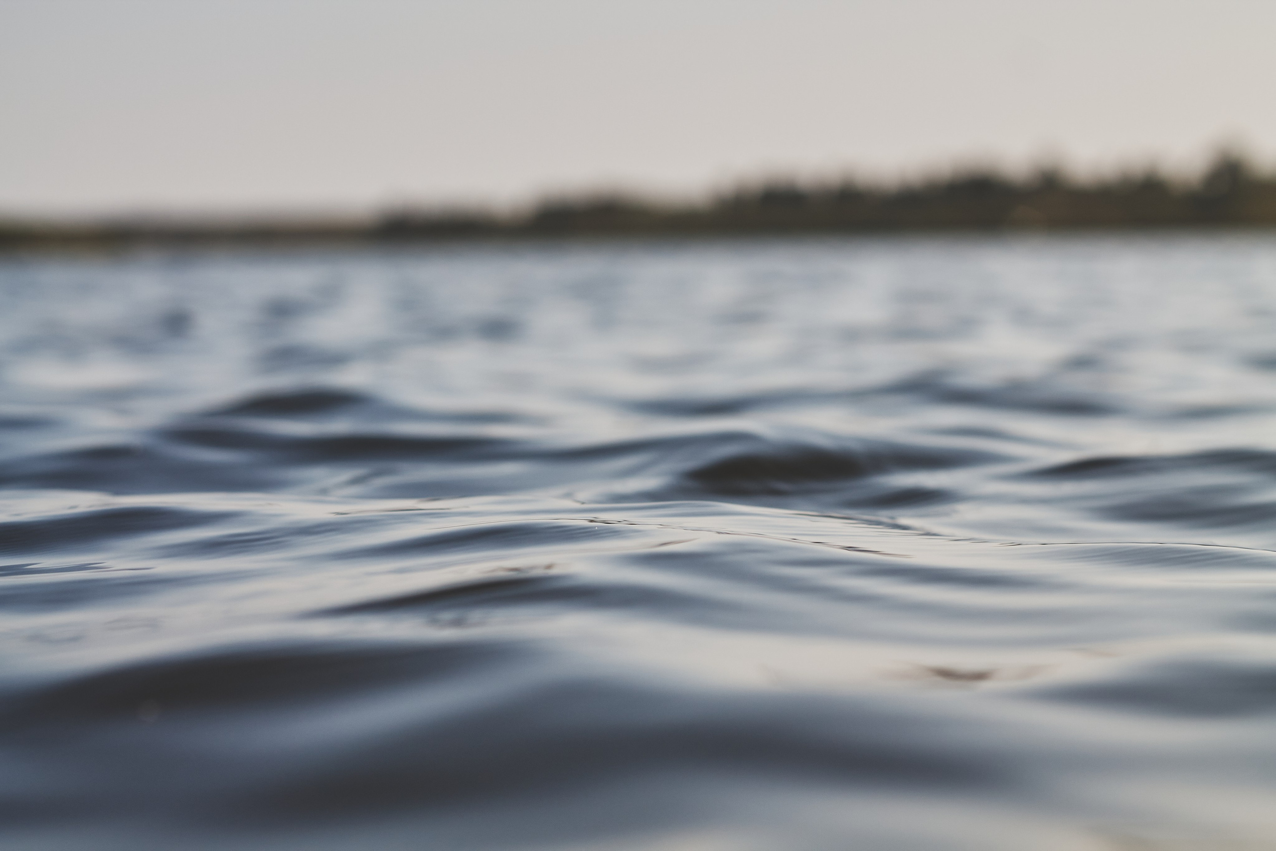 Алтай. Фотограф Александр Рауш