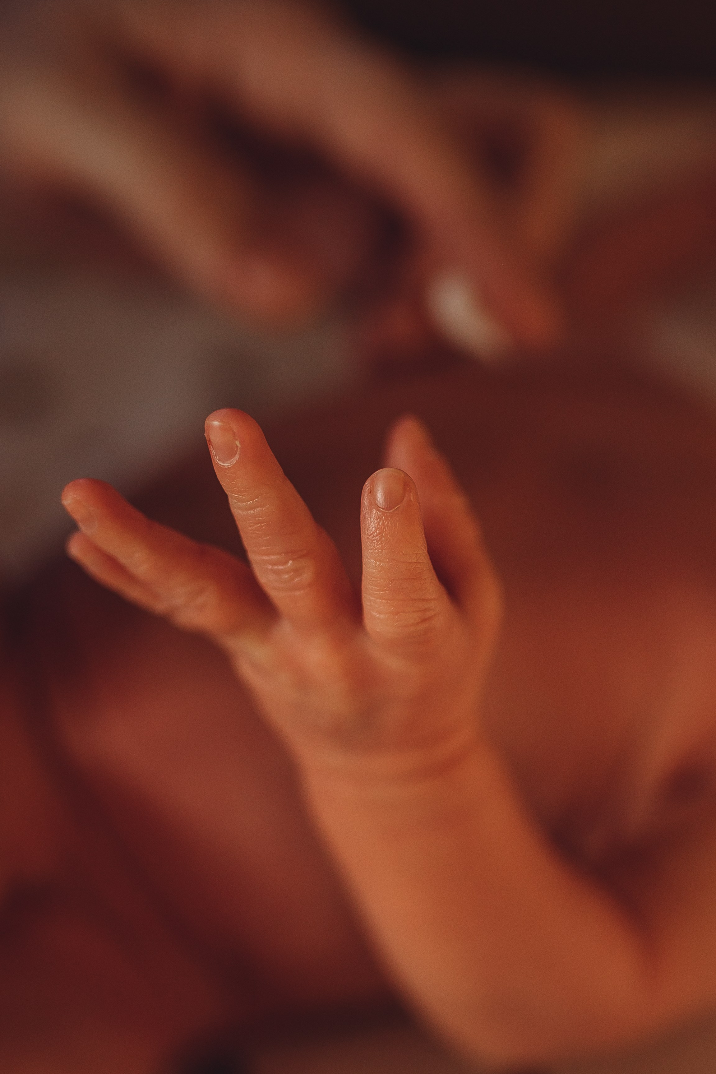 Новорождённые и малыши. Семейный фотограф Маруся Самылкина в Санкт-Петербурге