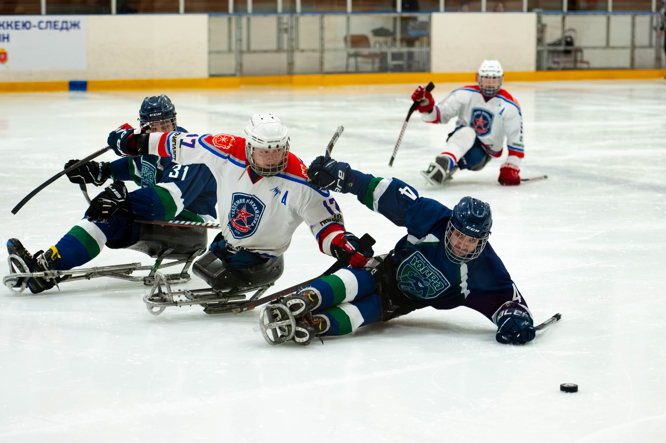 ЧР по хоккею следж. Алексин, 2025. Спортивный фотограф в Туле и Тульской области. Файсханова Фото Спорт