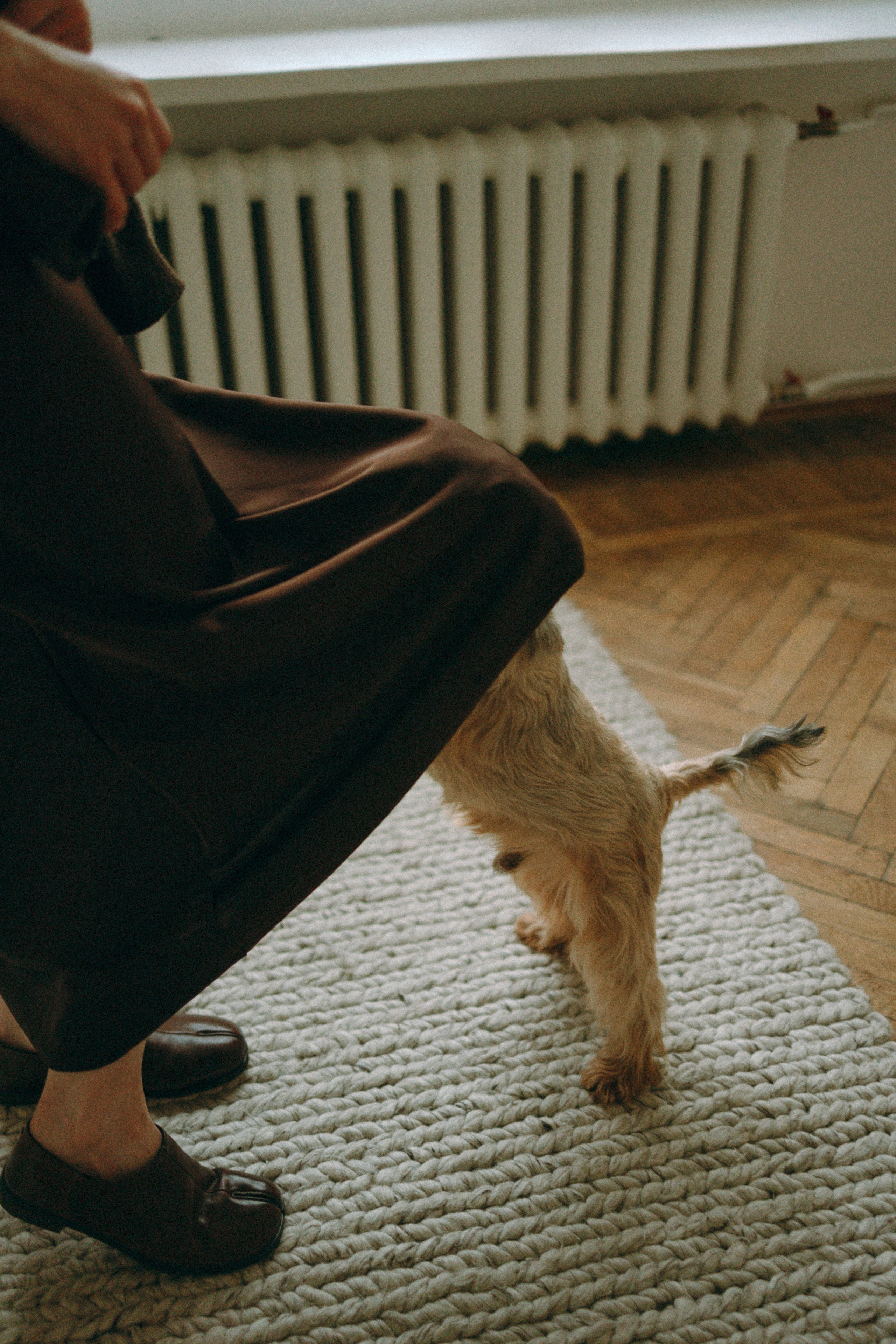 Ричард и Ксюша. Фотограф анималист Анастасия Пикей