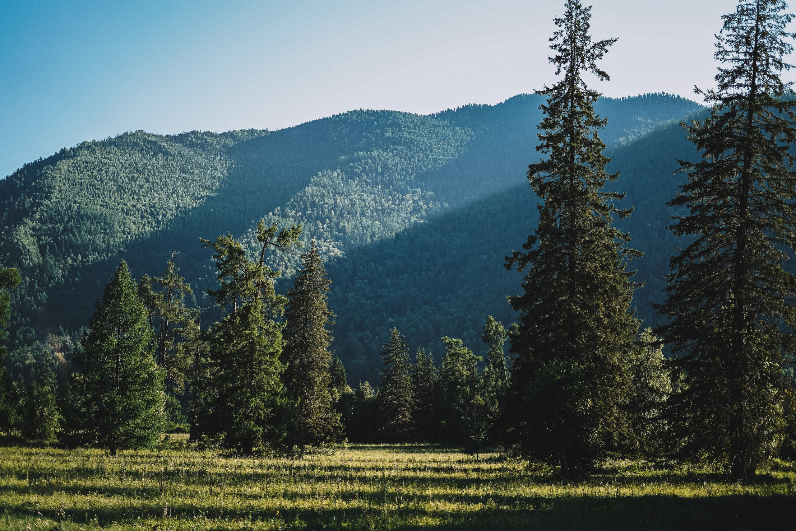 Алтай, поход к Белухе 2023. Фотограф Ольга Пучкова